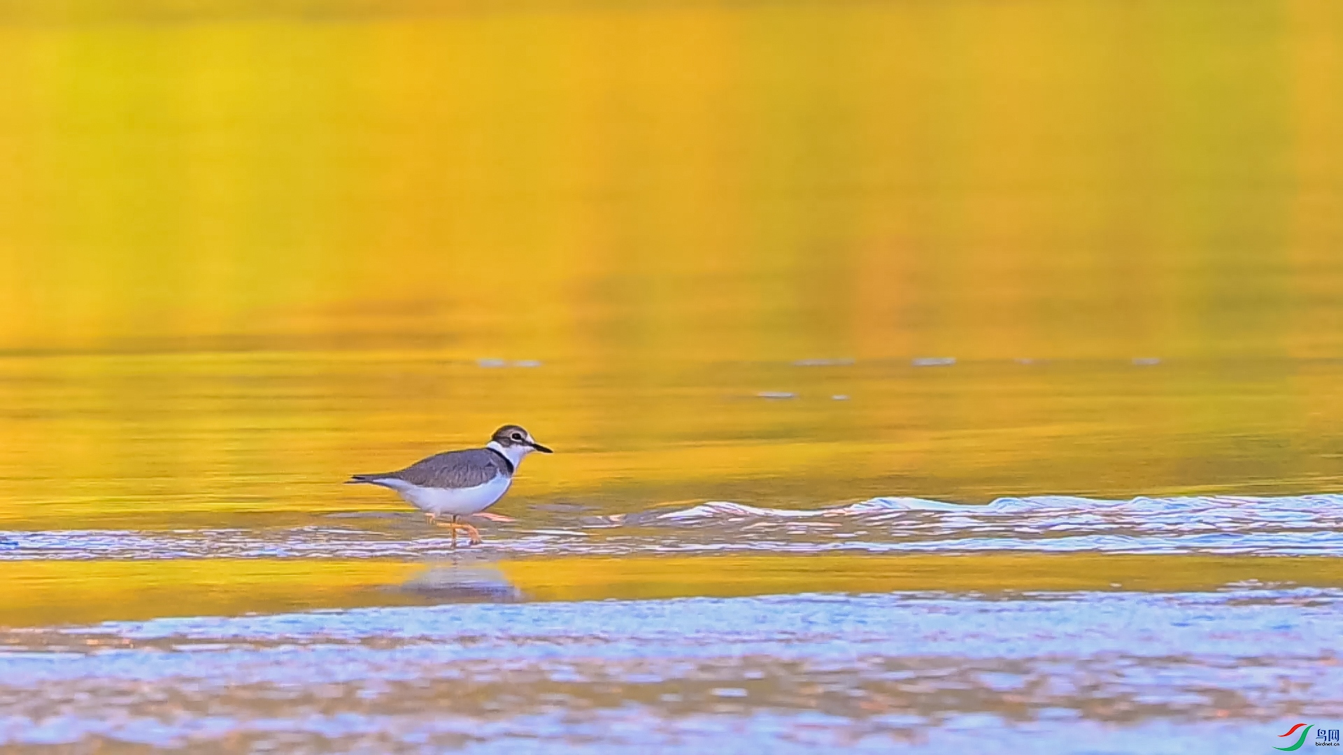 ��� ֮ս ����.jpg