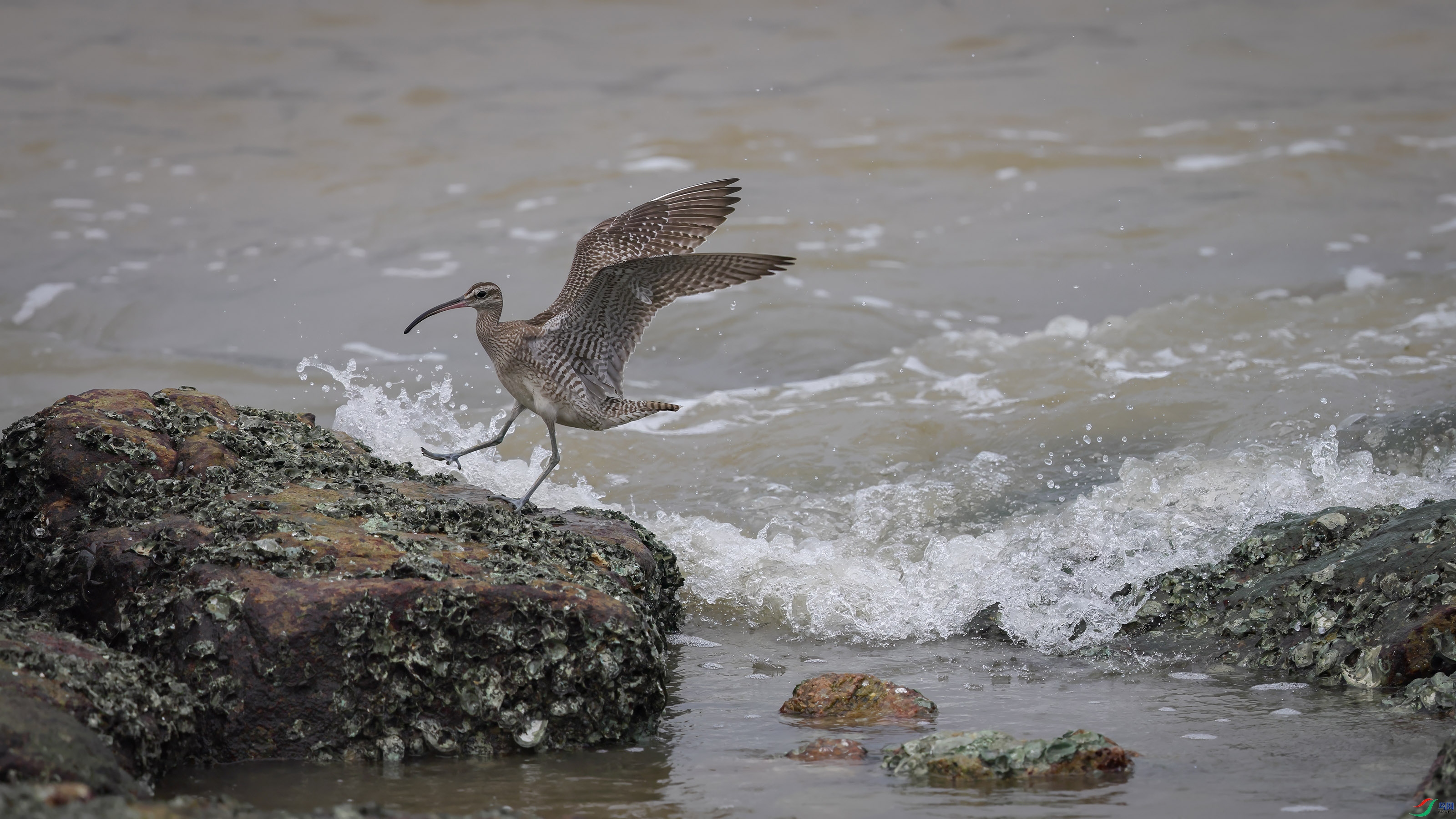 _T4A4636 ����w.jpg