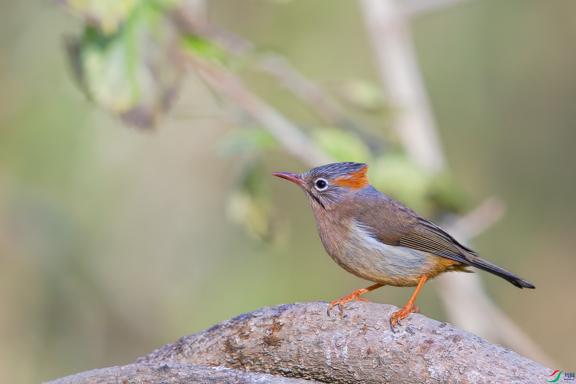 AQ4P0839-1.jpg