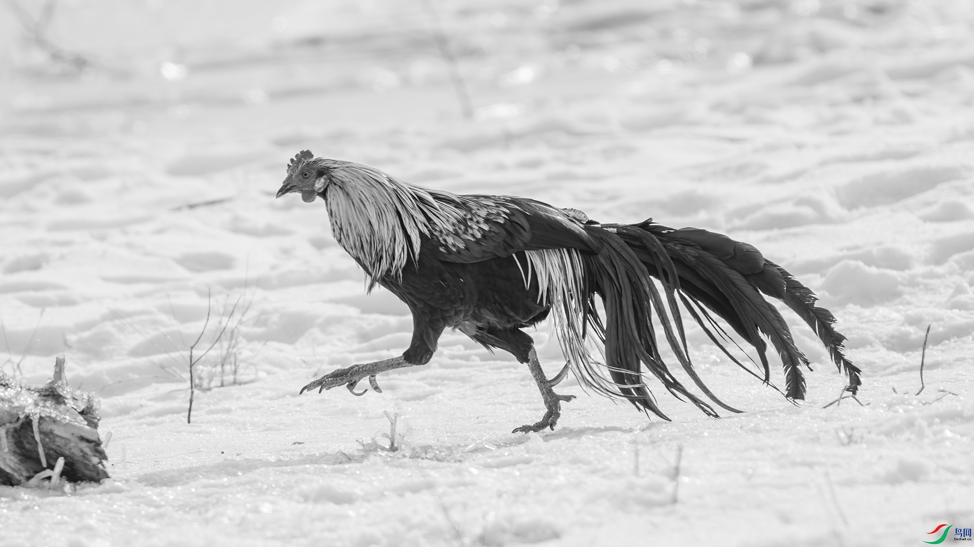 DSC05442 ����.jpg