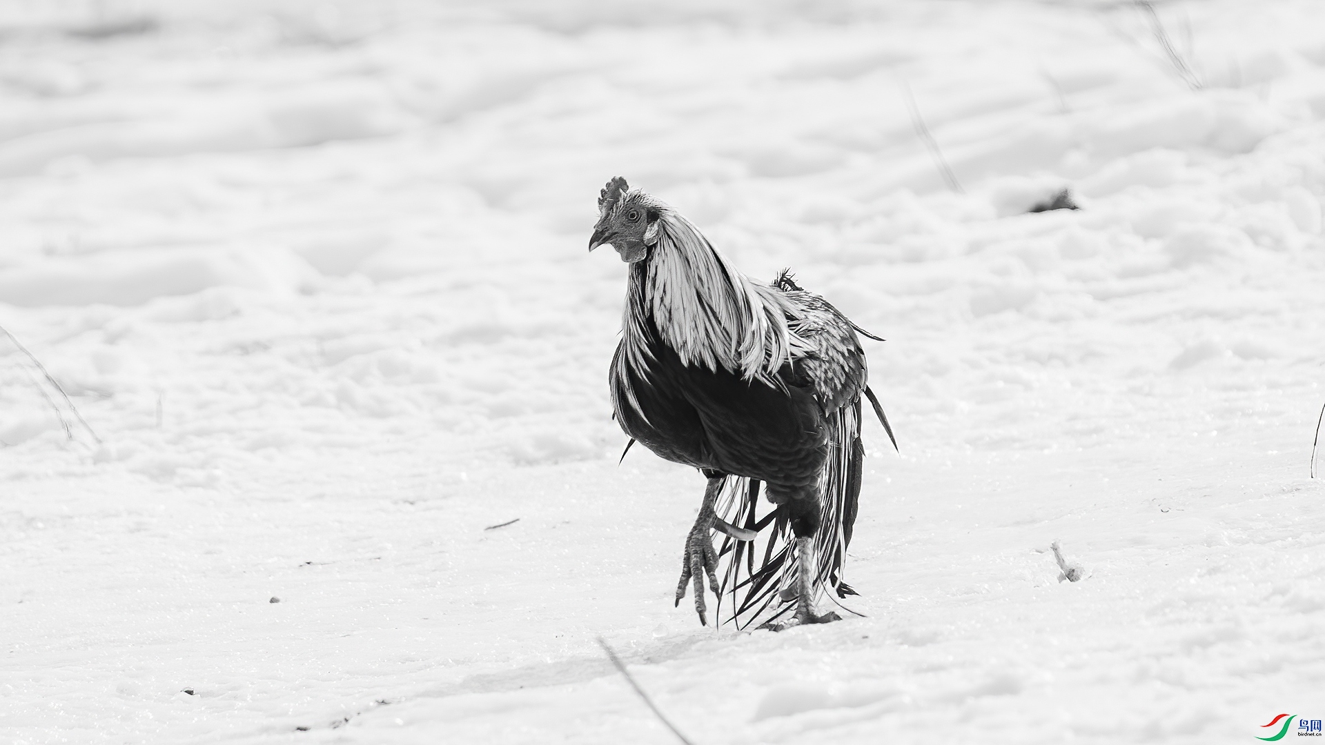 DSC05450 ����.jpg