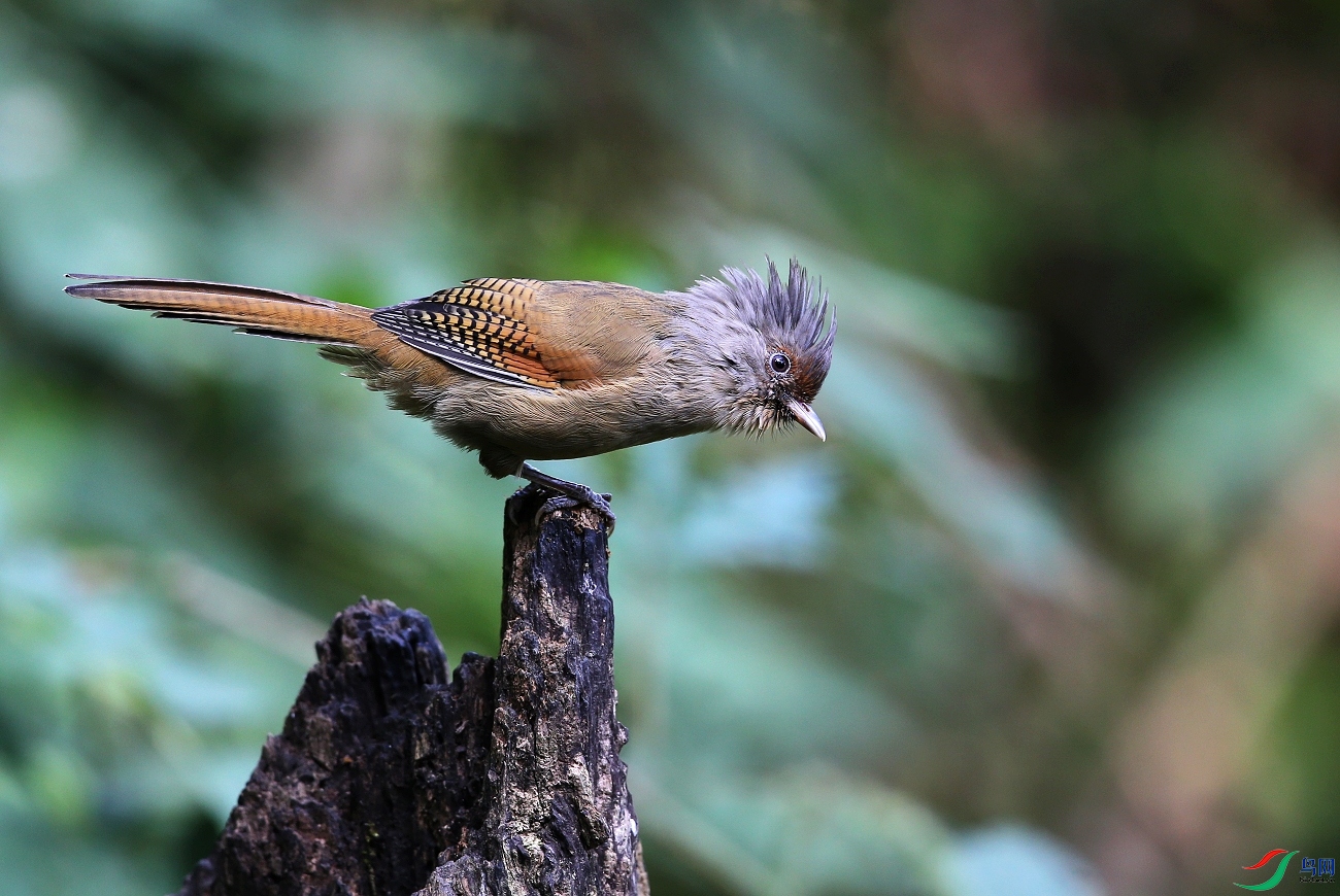 ���� IMGL5729.JPG