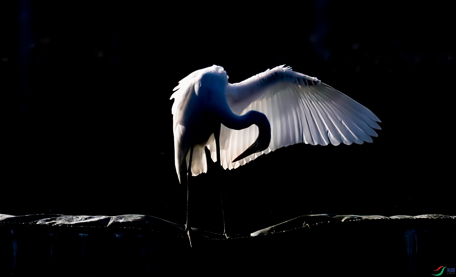 407A0110 ����-Sh----1 .jpg