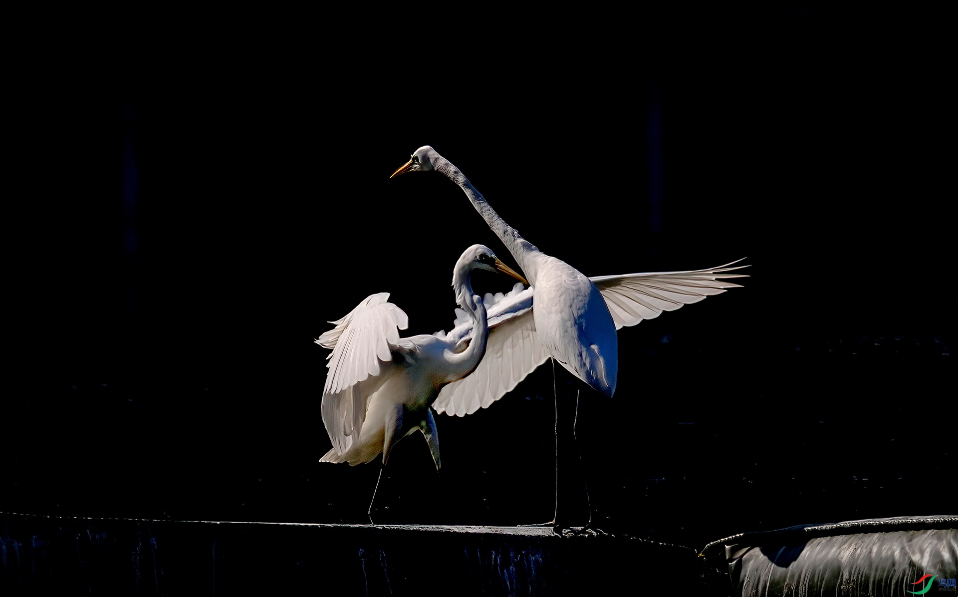 407A4610 ����-Sh-----1 .jpg