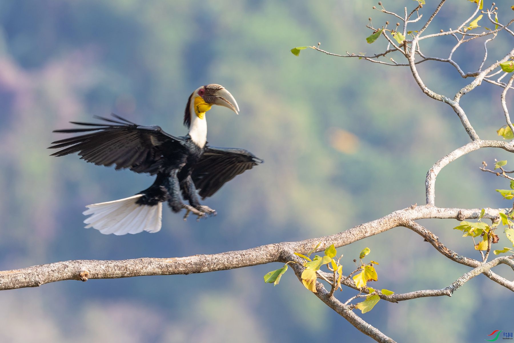 �������Ϭ��