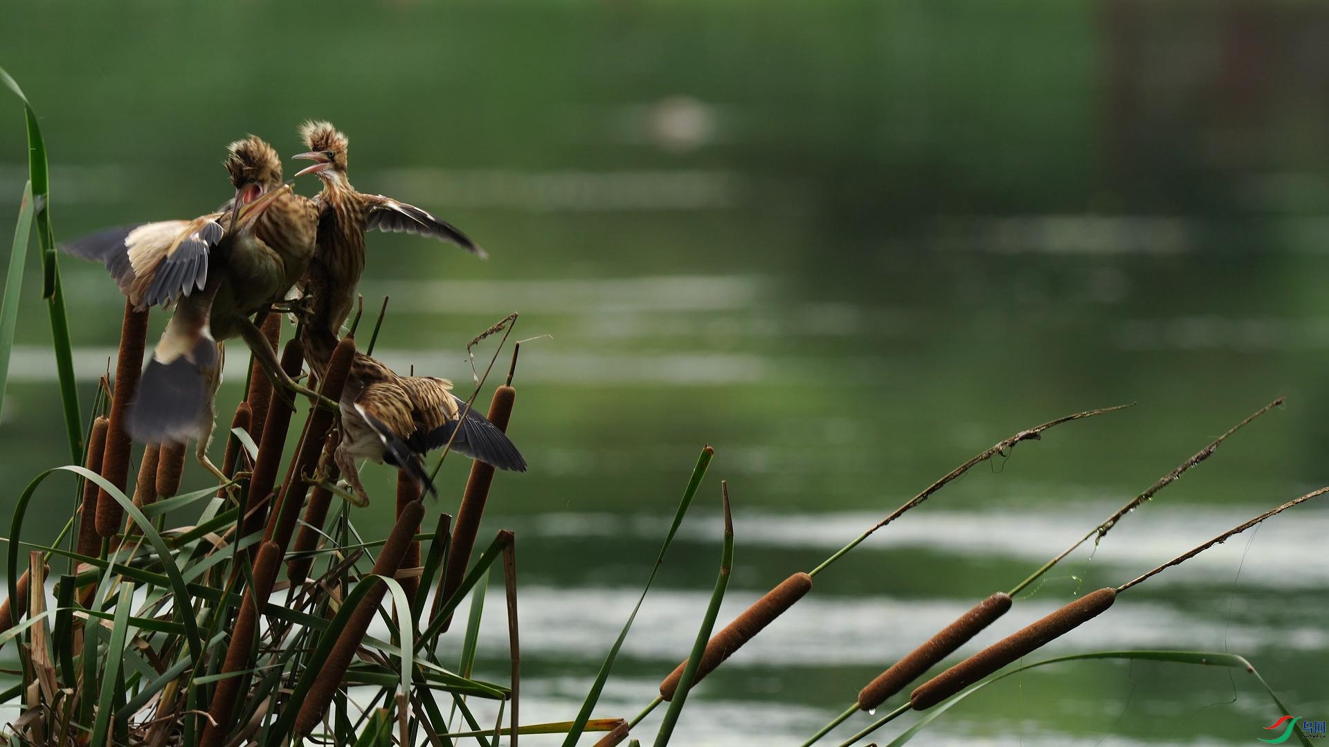 9��21�� (1)(1)-����.jpg