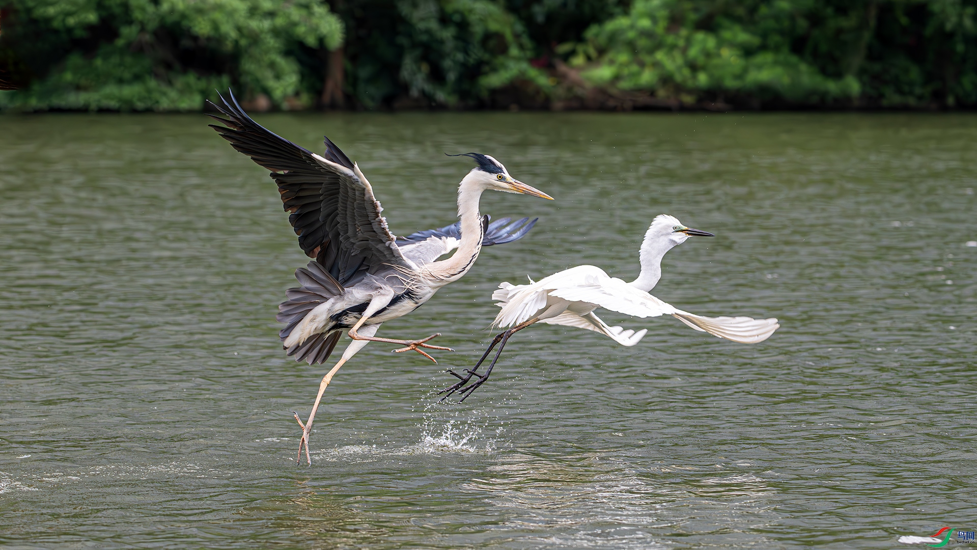 DSC_5324.jpg