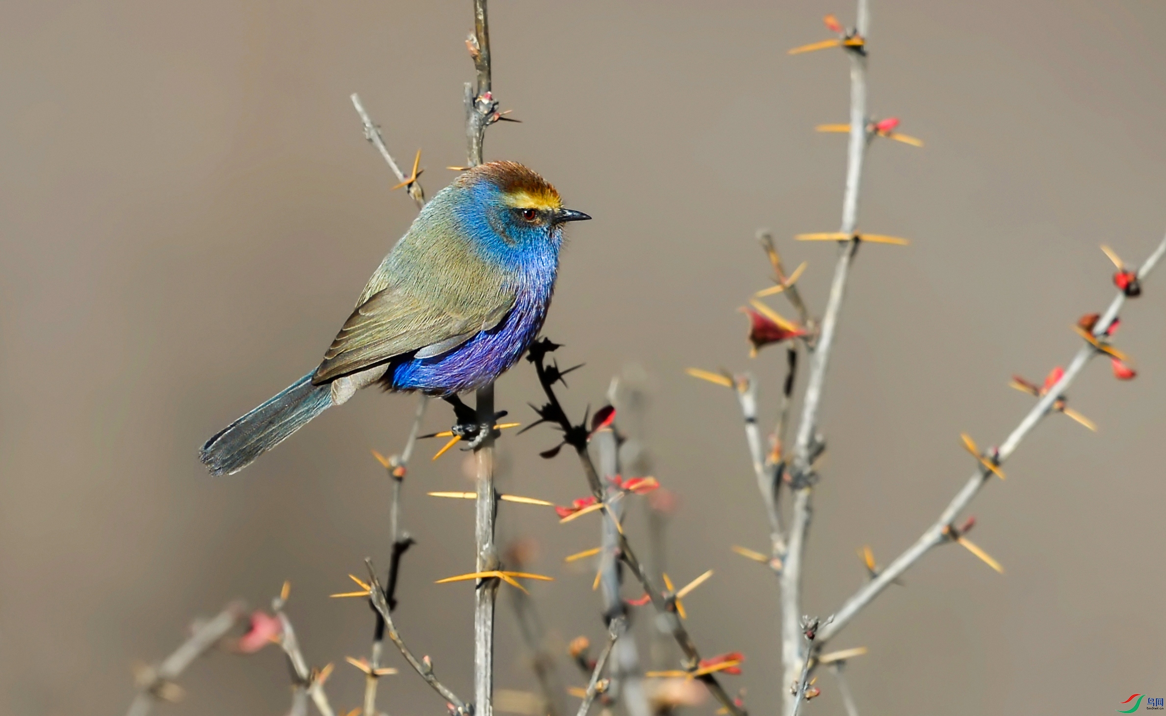 DSC_6501.jpg