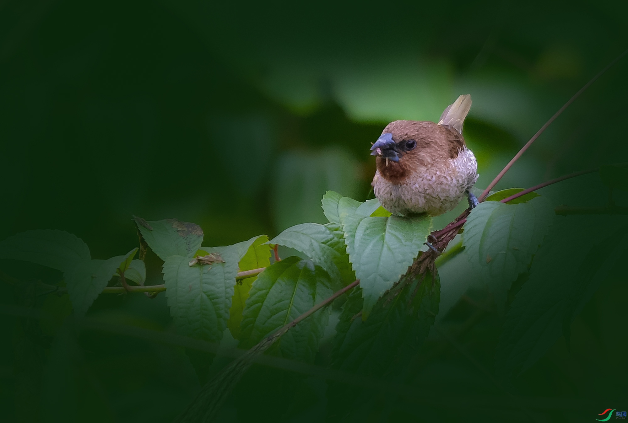 DSC_8680.JPG