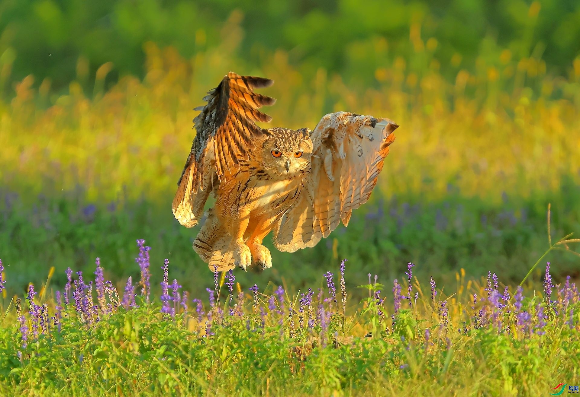 ÿ�ռ��� �����µĵ��^  ���� 8341  ����.jpg