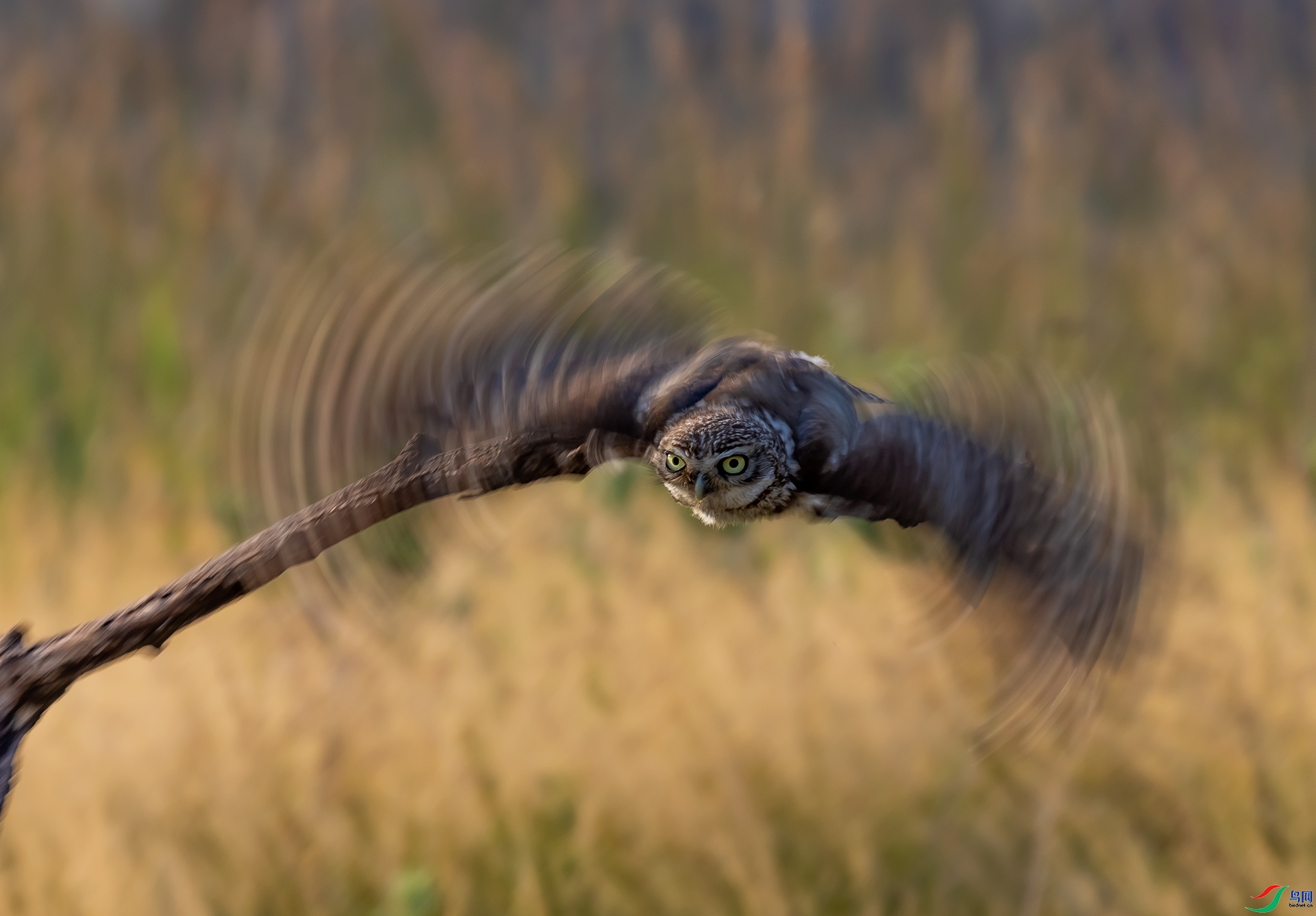 ����-���Ƹ�С�^  ���� ���� ��һ.jpg