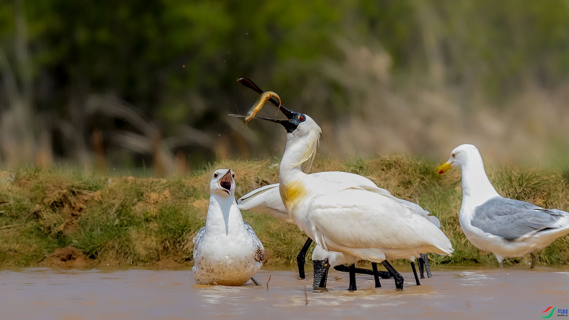 �ſڽ���  ���� ɳ���Խ� ��һ.jpg