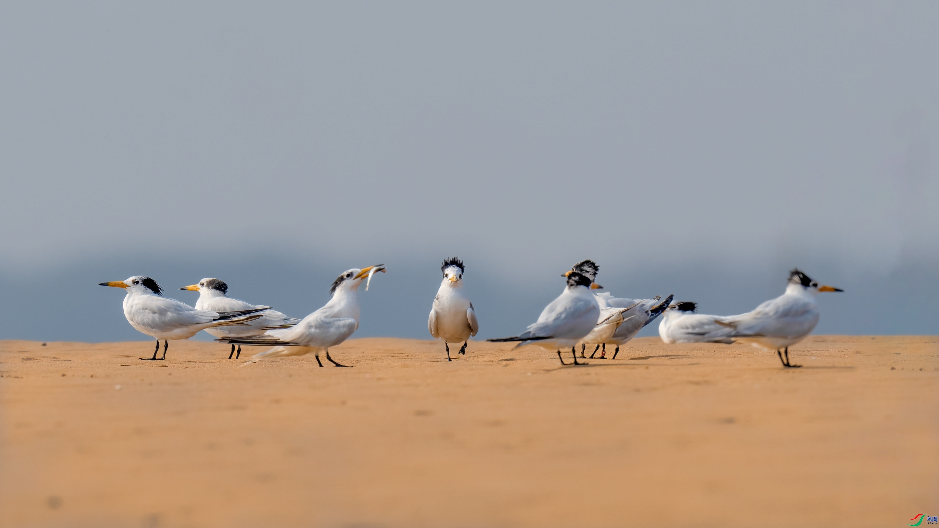 ����Բ ���� ���� �ܶ�.jpg