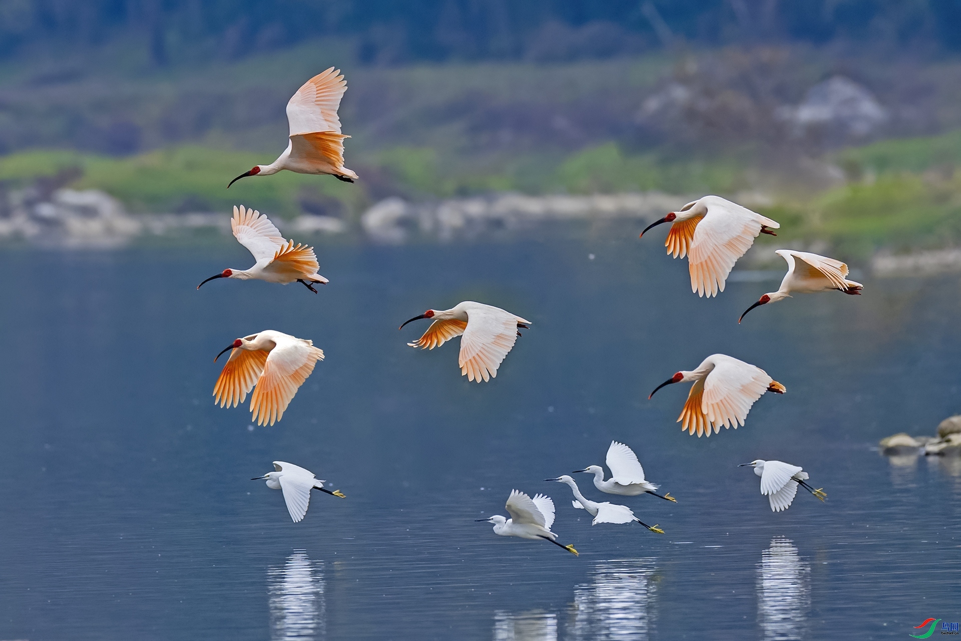 ����Ū��Ӱ ���� ������ ����.jpg