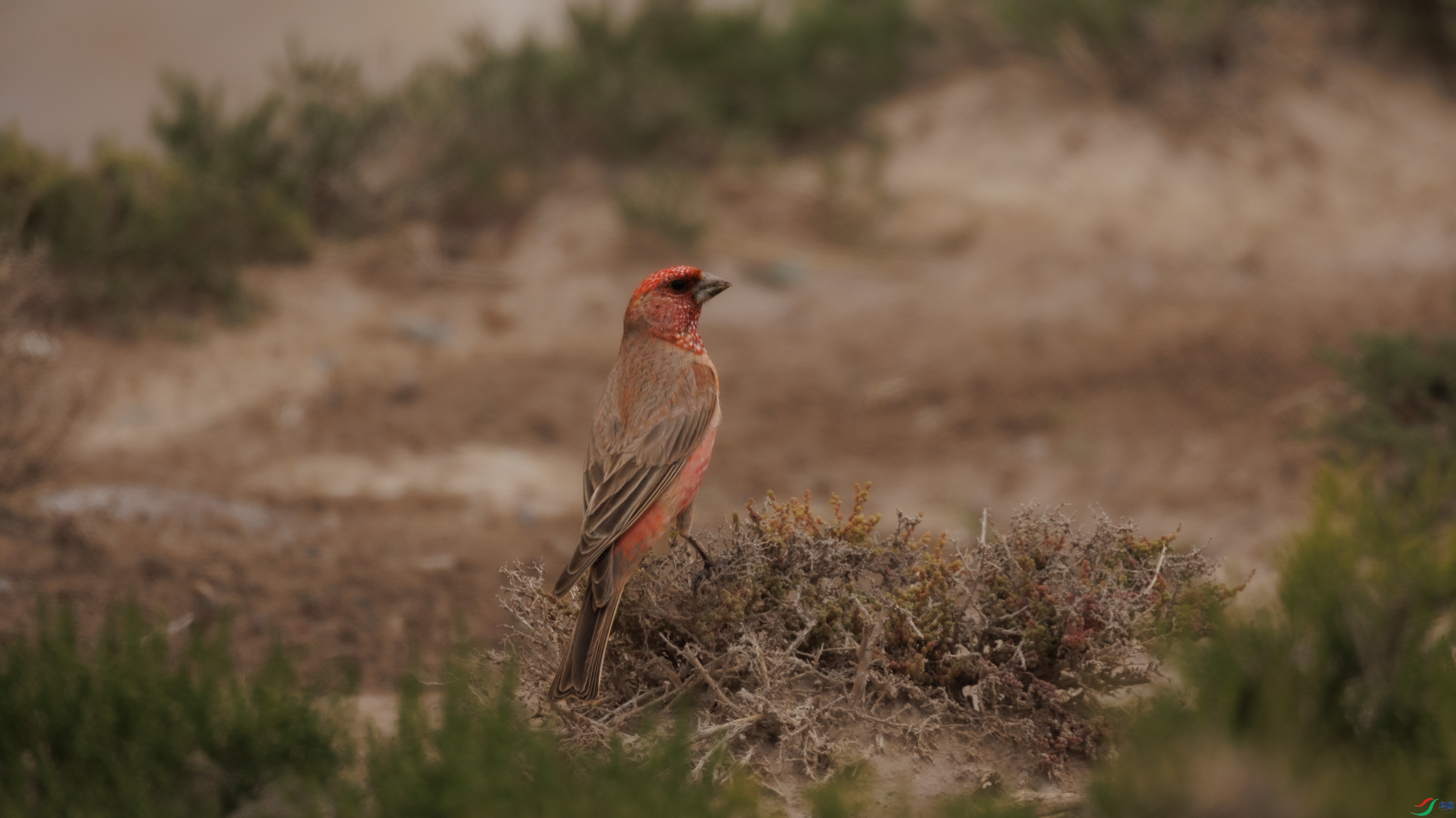 7X5A4688 ����000.jpg