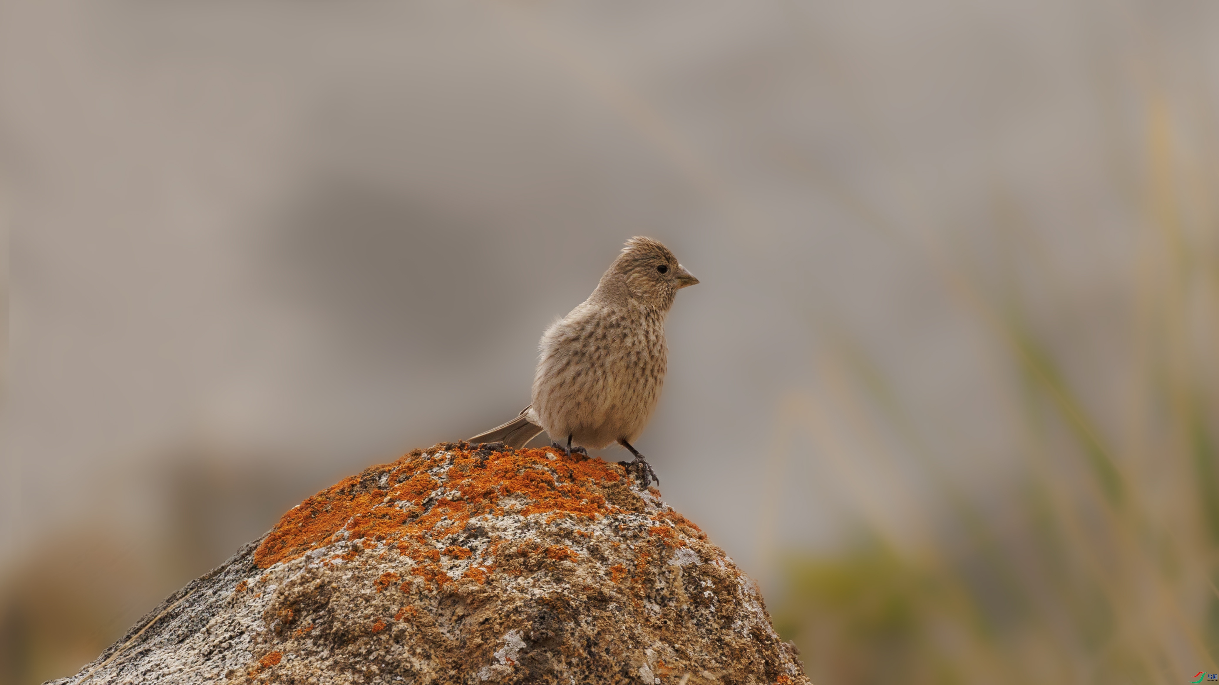 7X5A4823 ����.jpg