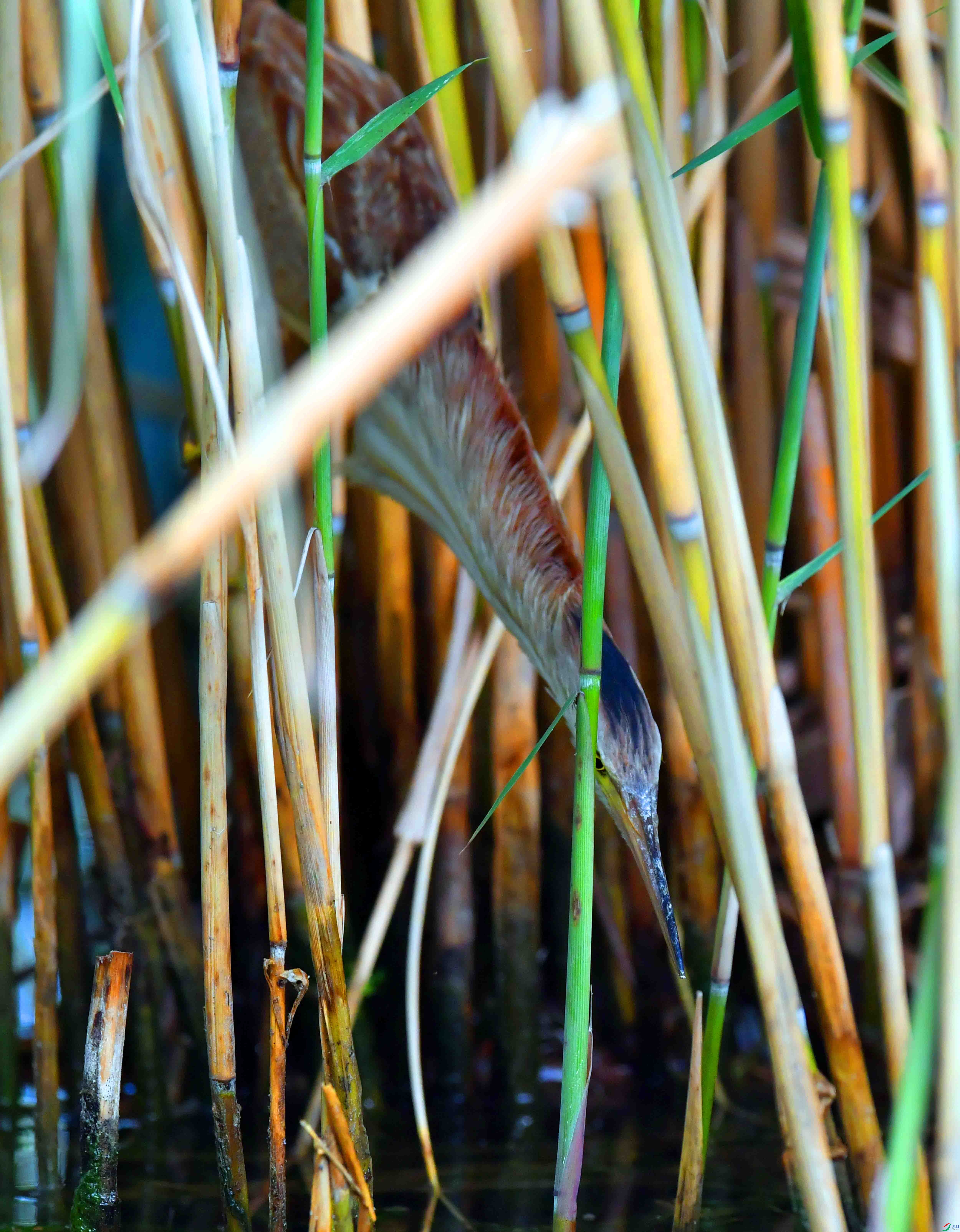 DSC_3829.JPG