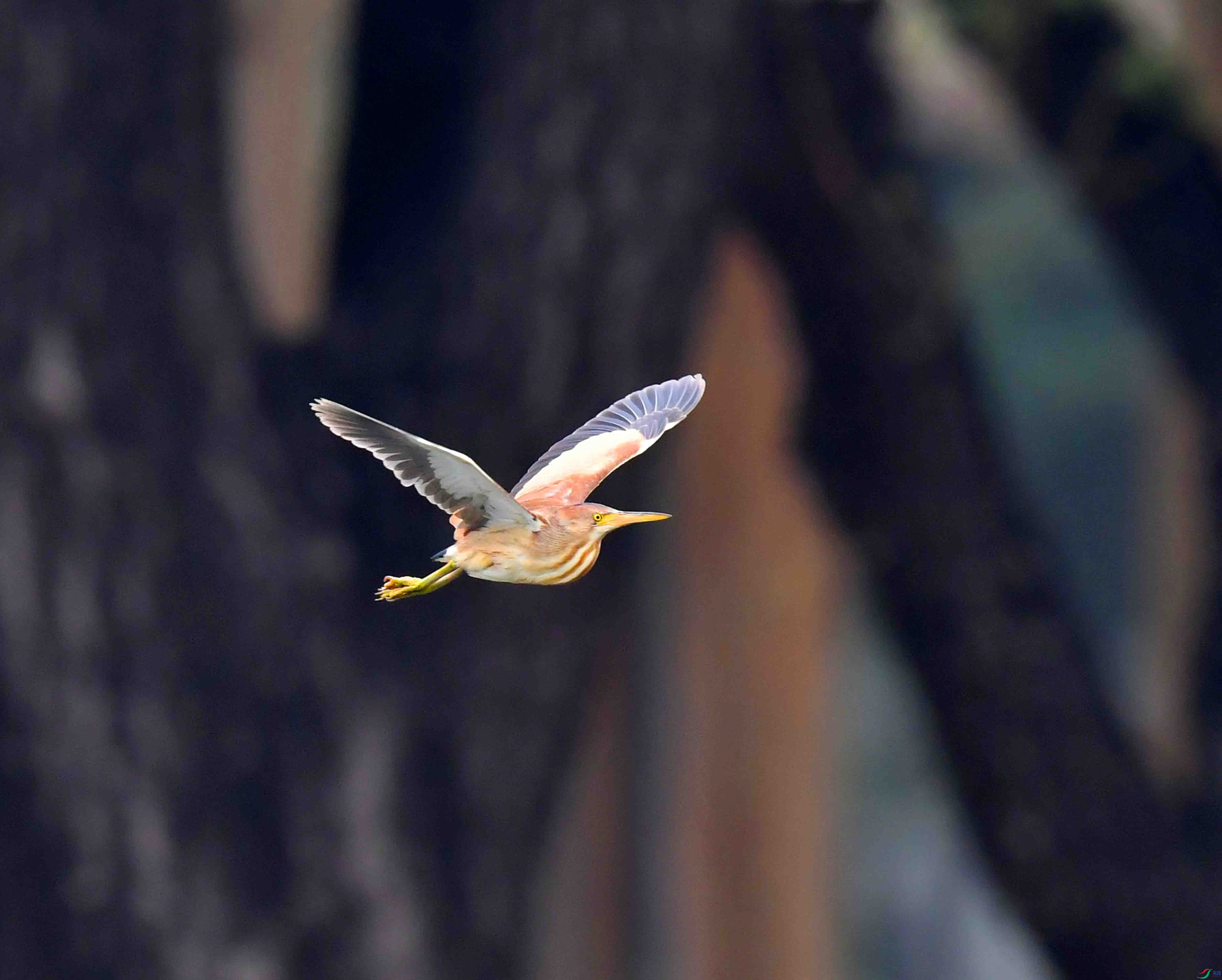 DSC_3945.JPG