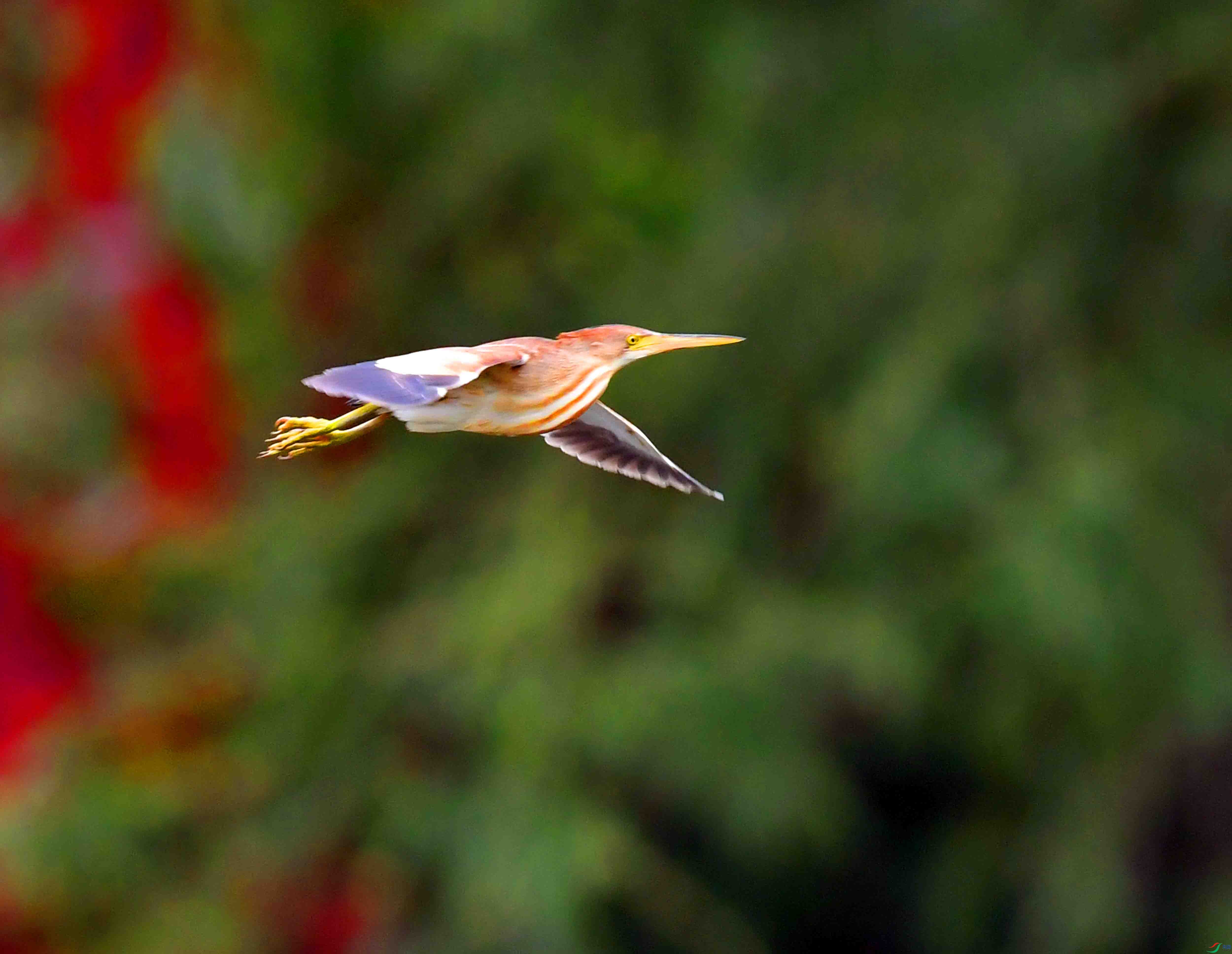 DSC_3948.JPG