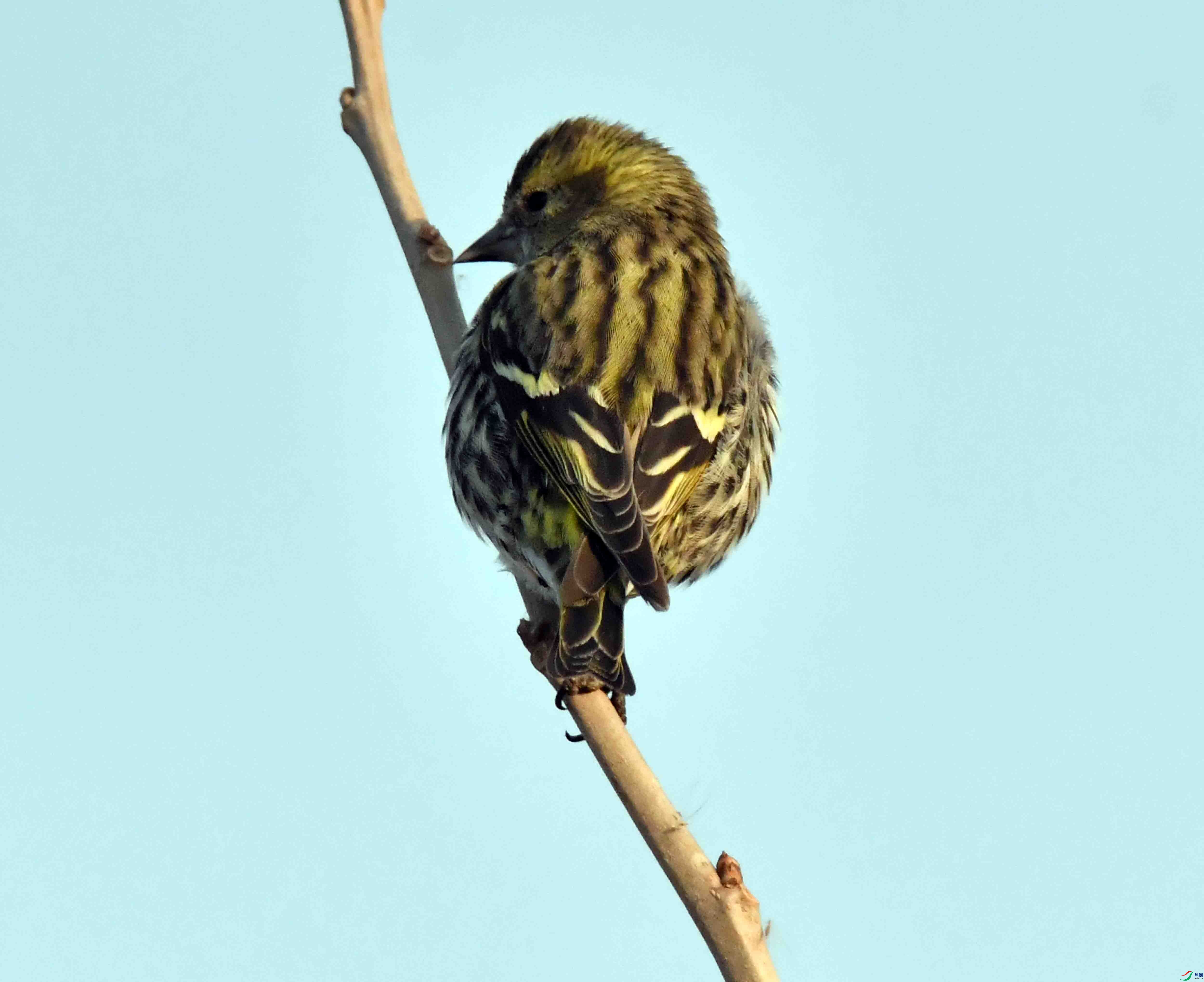 DSC_4551.JPG