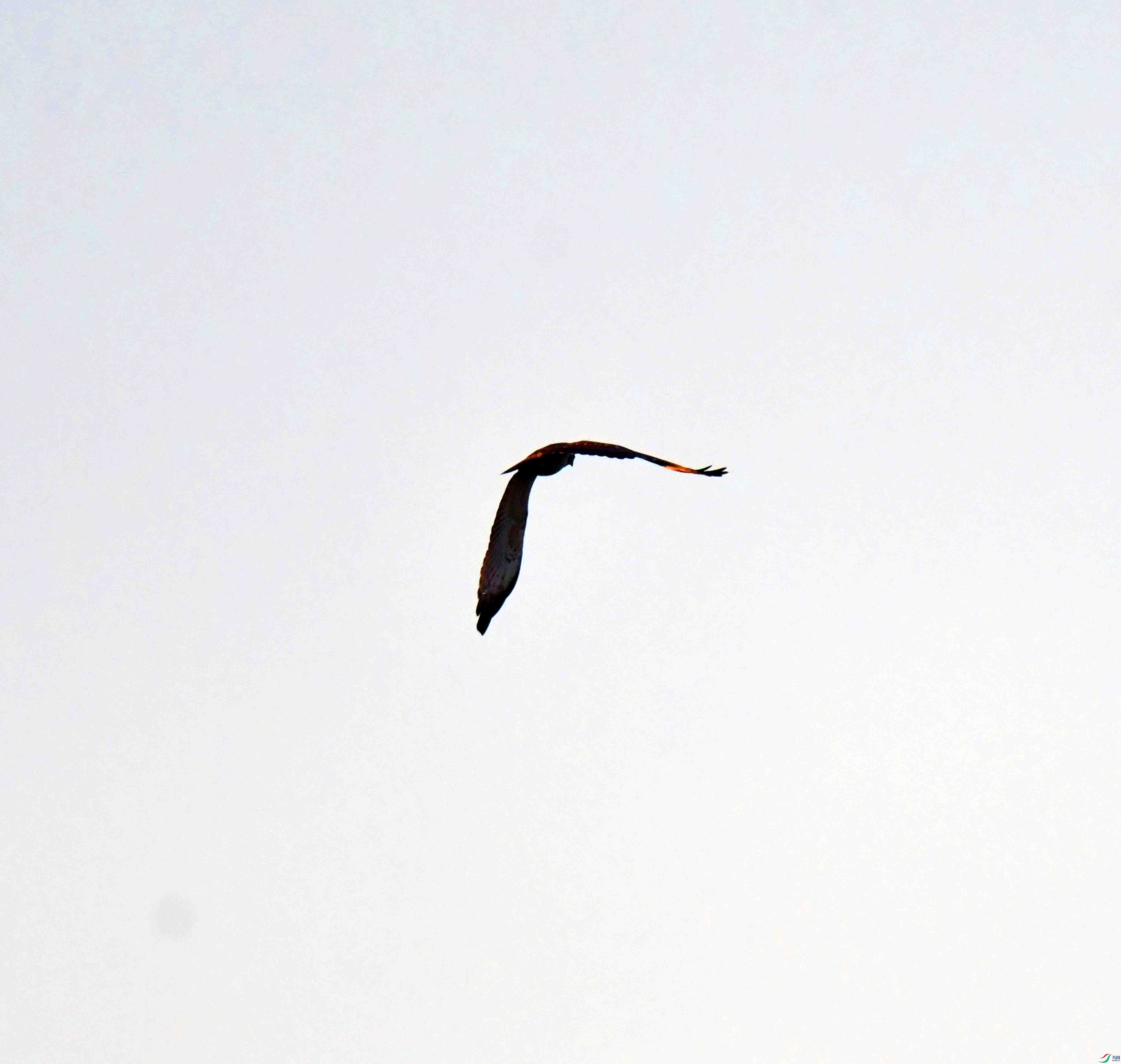 DSC_0397.JPG