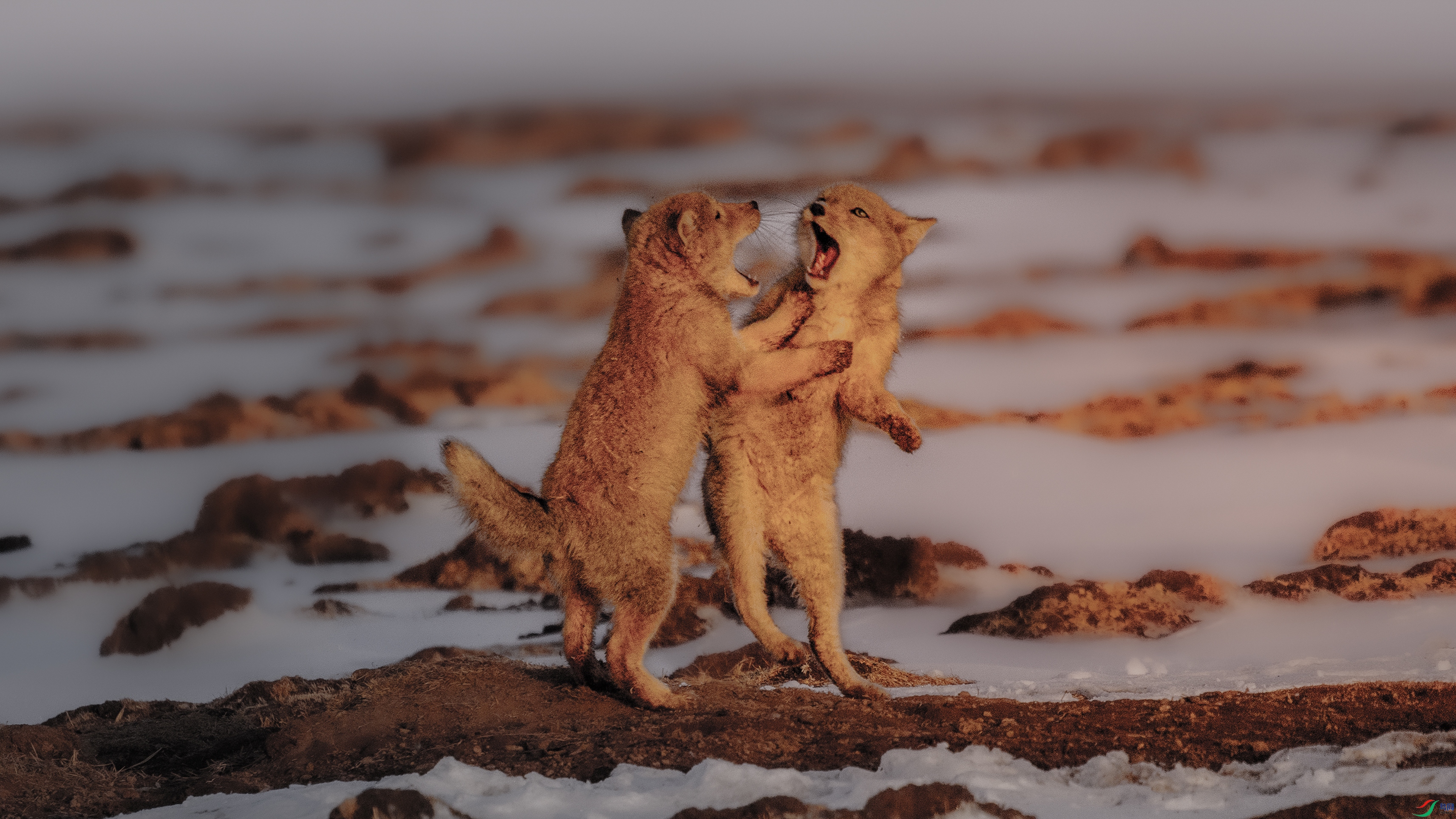 7X5A4574 ���� 2.jpg