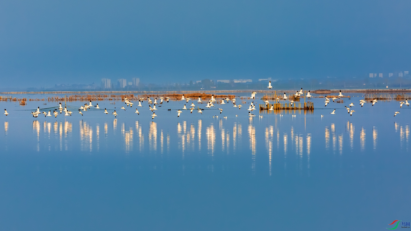 ������----������Ӱ