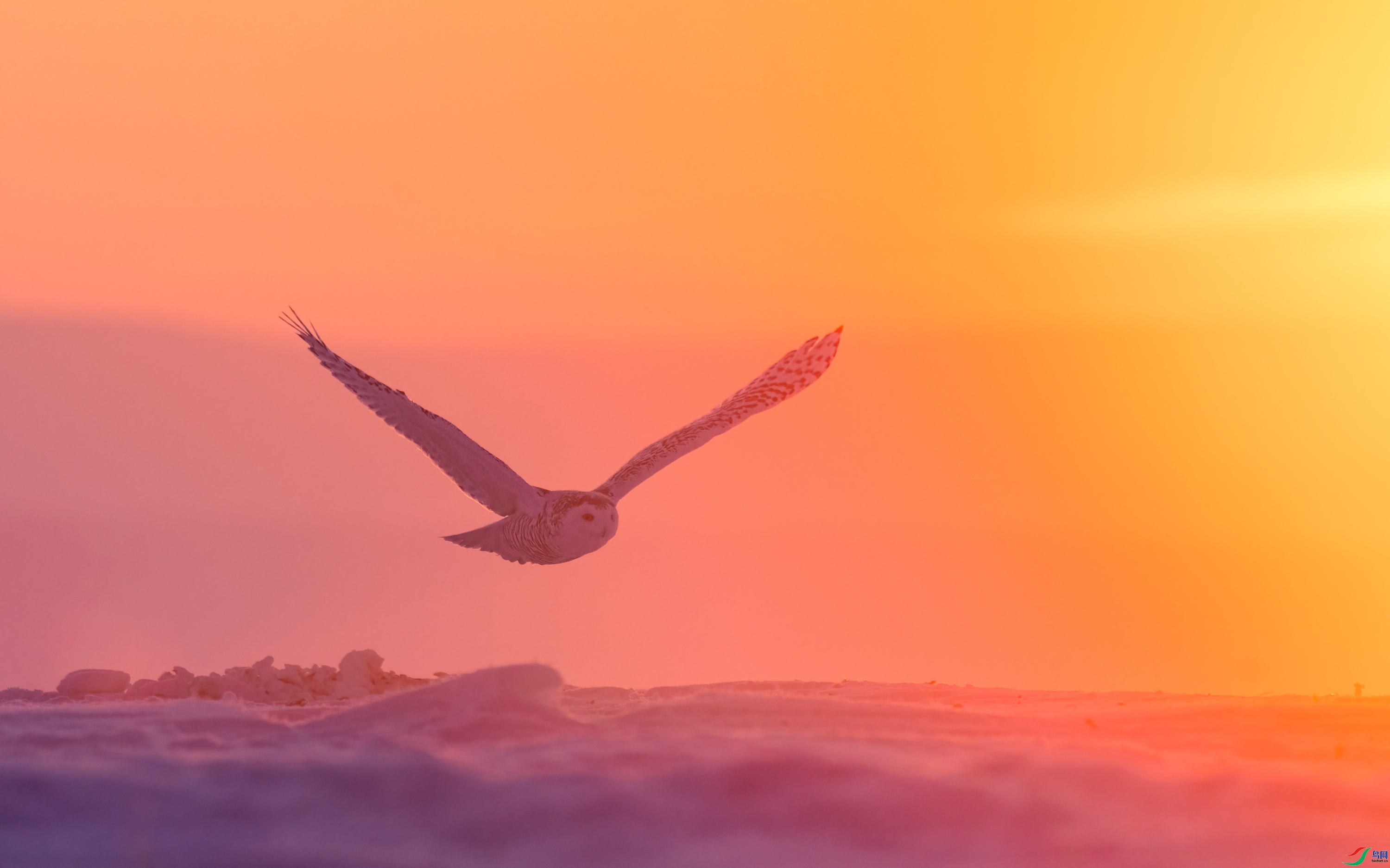 ѩ�^  ���� ���� ����.jpg