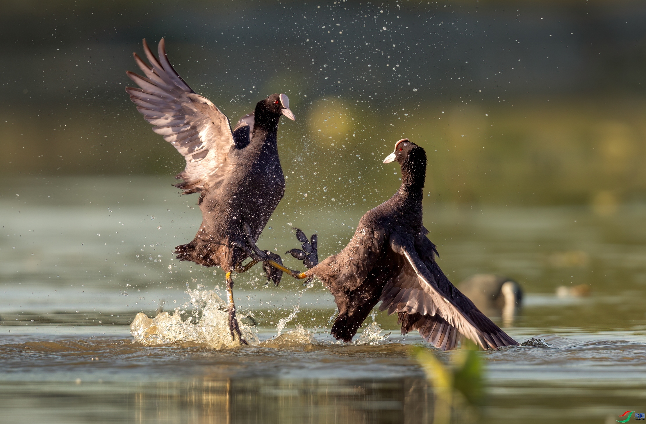 �峿��һ��-�׹Ƕ� ���� һ·���� ����.jpg