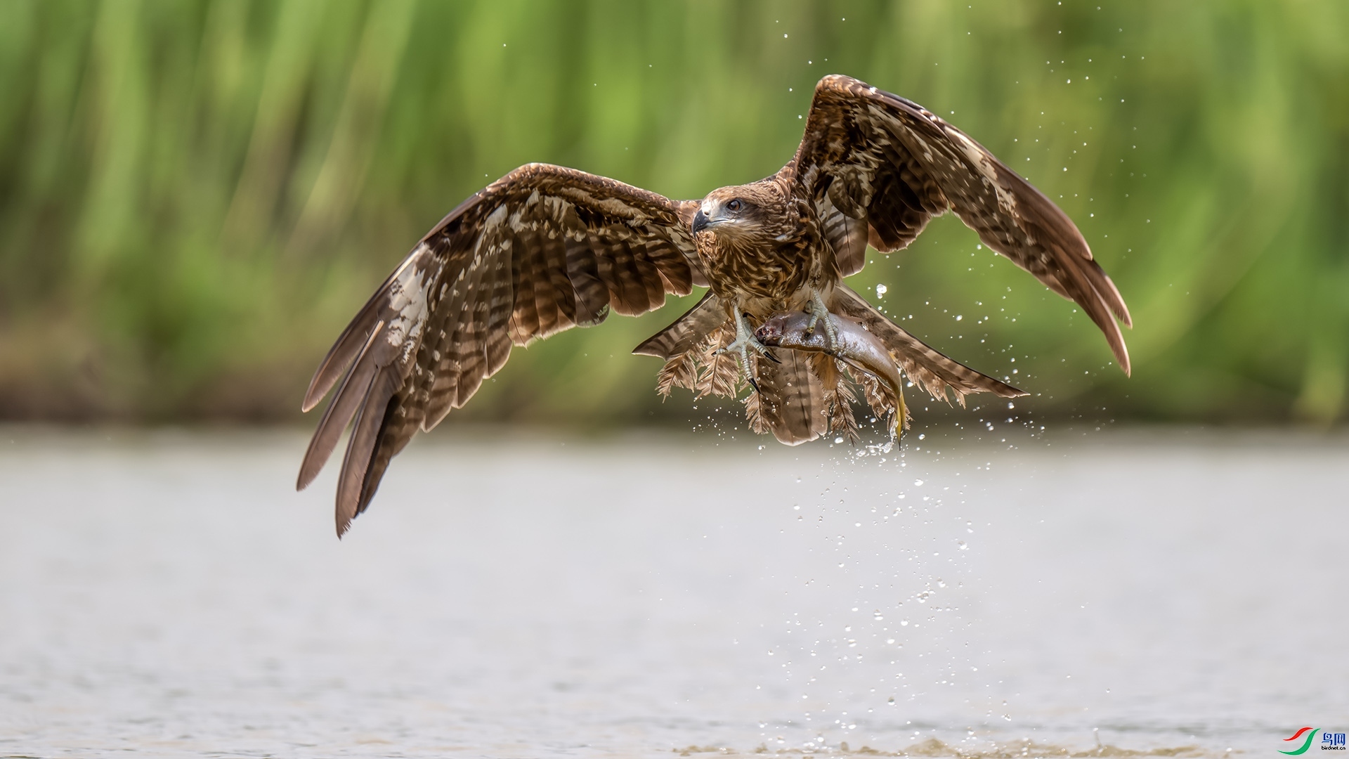 ���ץ��  ���� ��ѧ�� ����.jpg