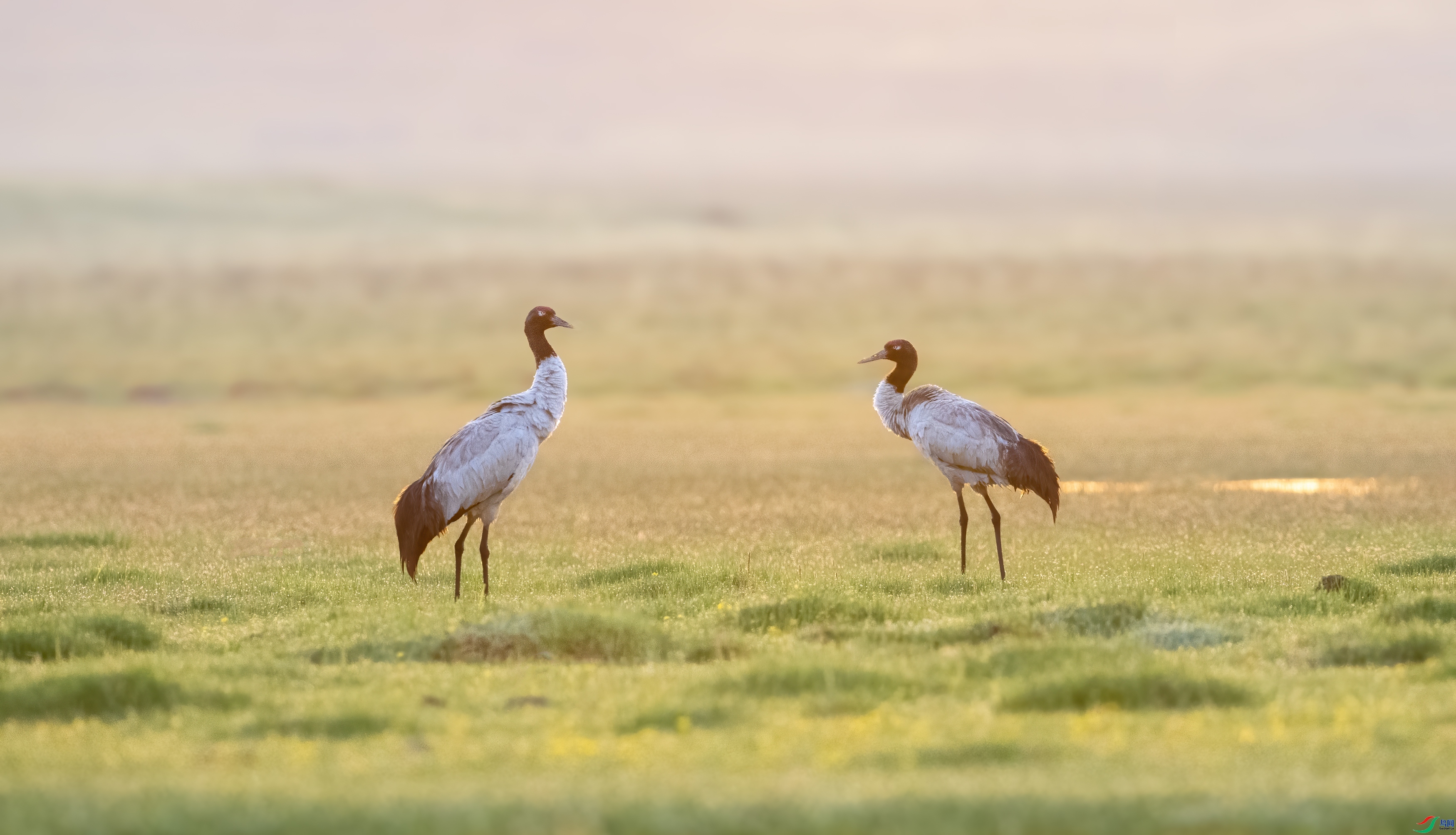 ���� ���� ��Ͽ֮�� ����.jpg