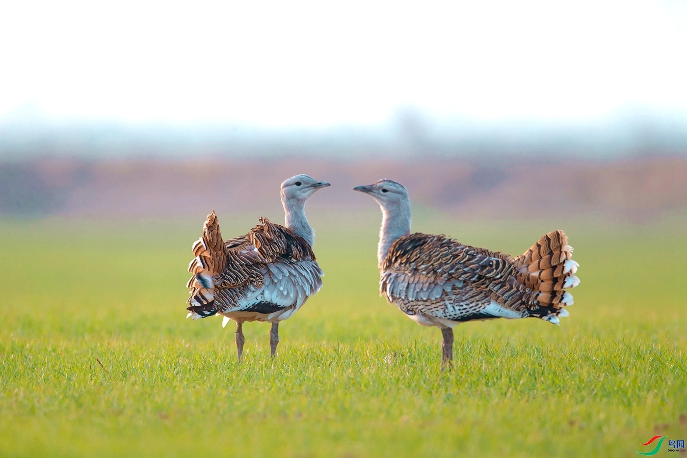 ��� ���� ͧ�� ����.jpg