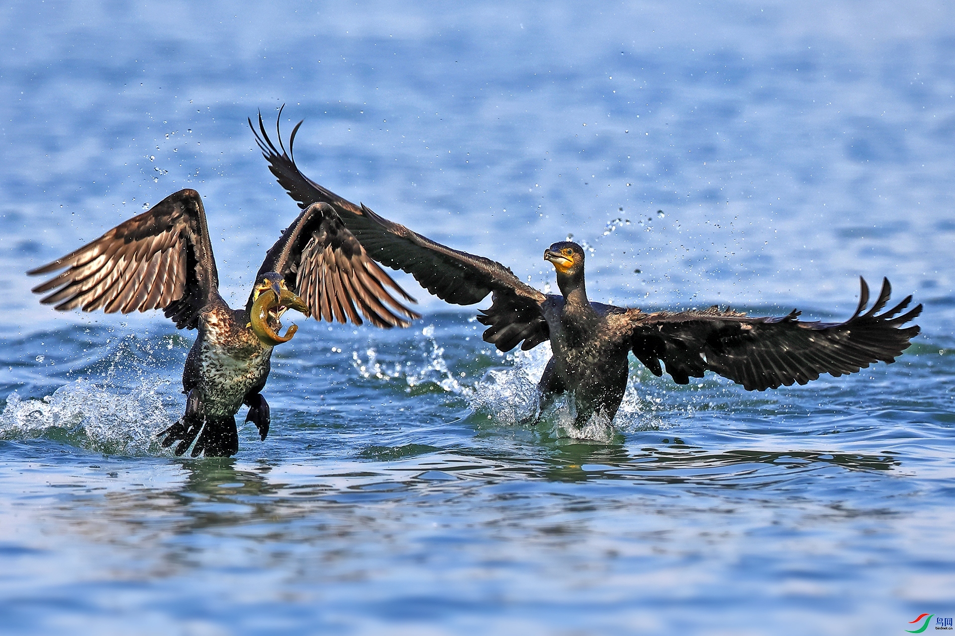 ��·���� ���� ������ ����.jpg