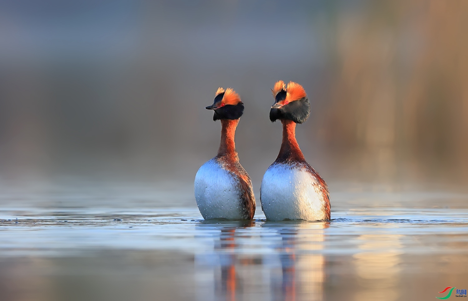 �׶�Ƥ ���� ��Ұ ����.jpg