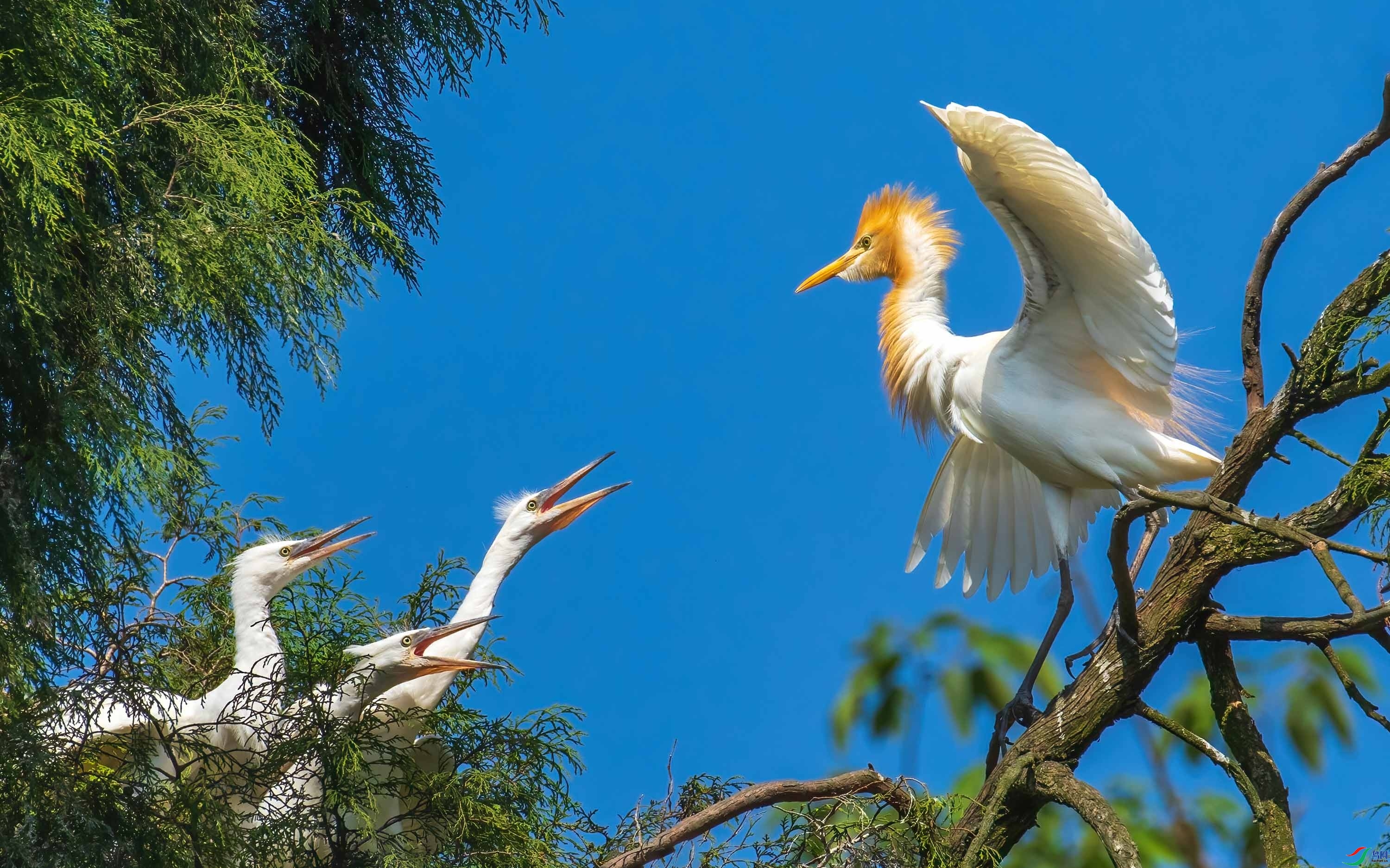 С�ϳ� ���� �ɶ��Ͻ� ����.jpg