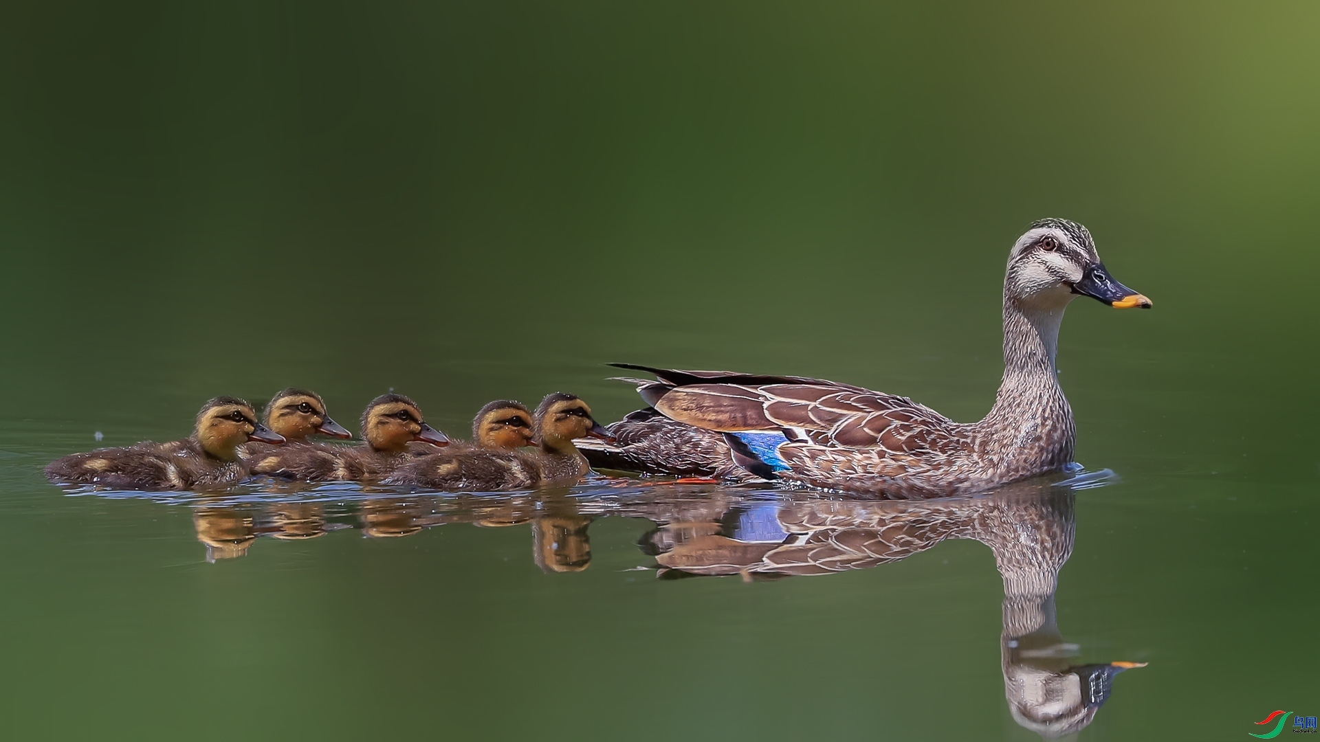 ���� ���� ���� ����.jpg