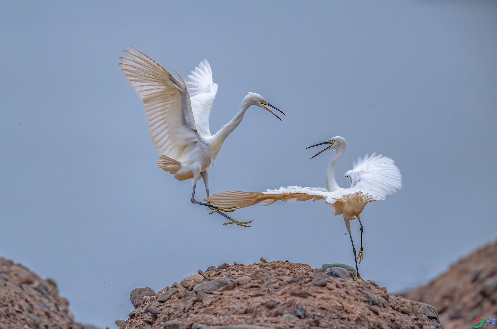 ���� ���� ������ ����.jpg