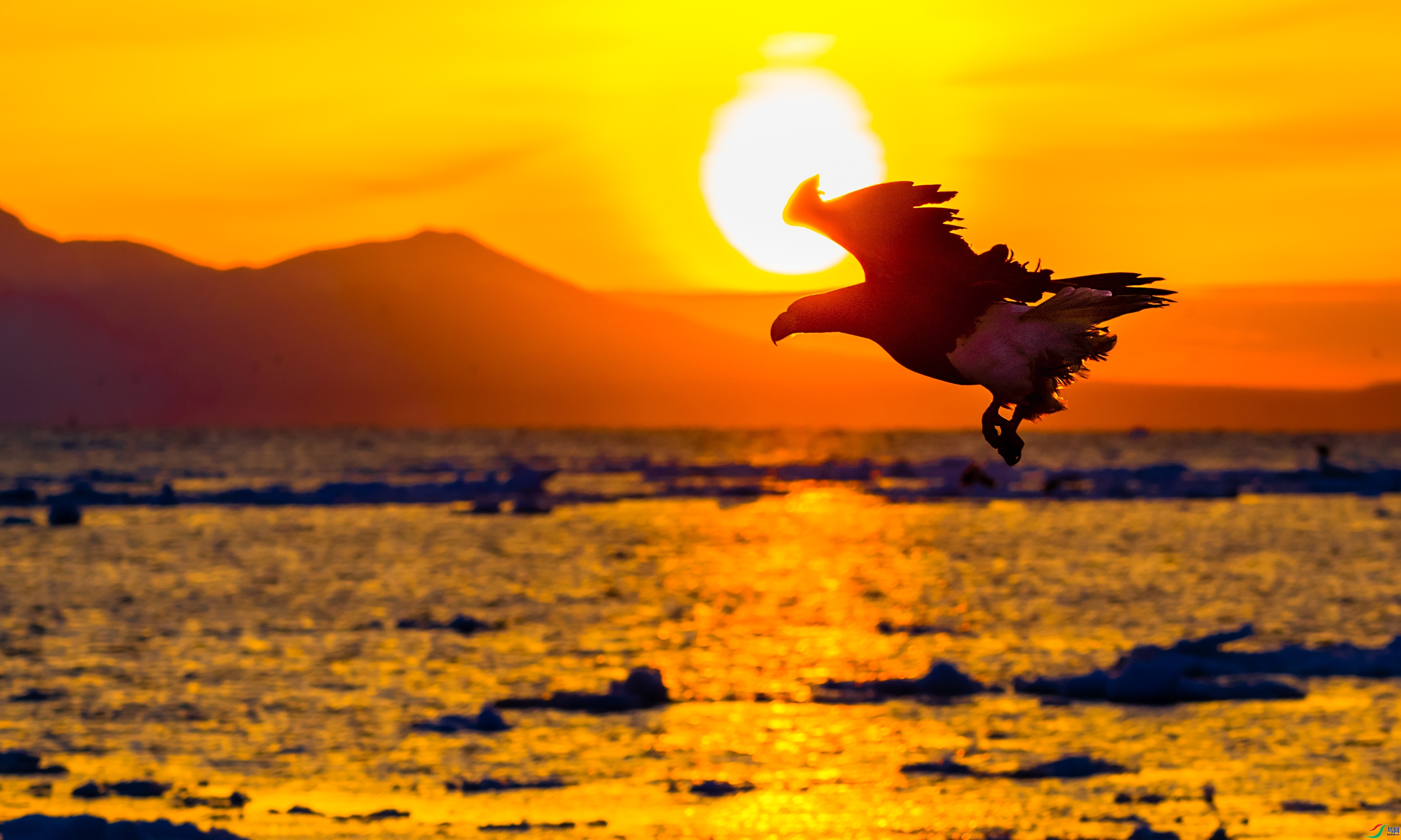 �����ճ�  ���� ��������bj ����.jpg