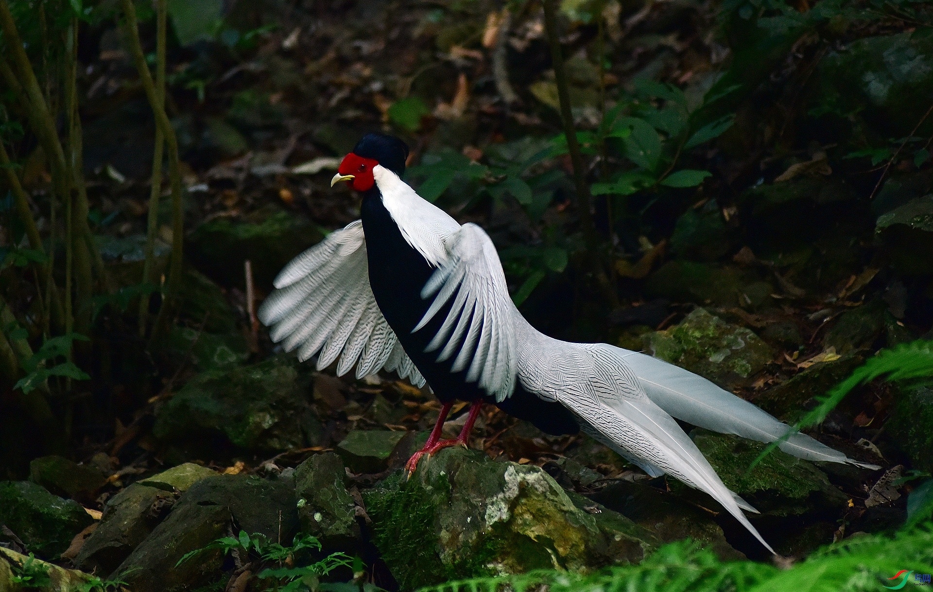 D8I_8566.jpg