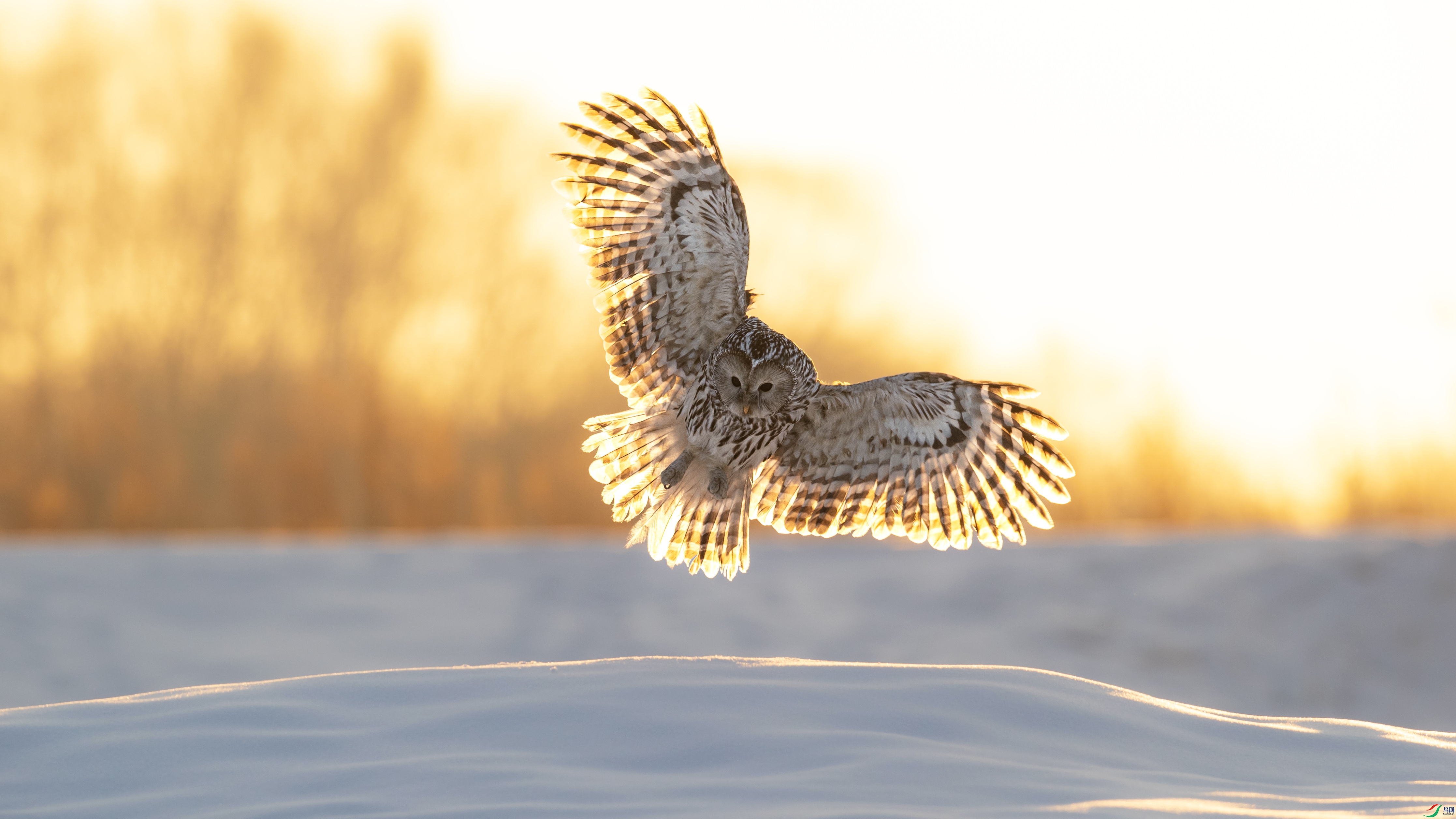 A05I0472 ����.jpg