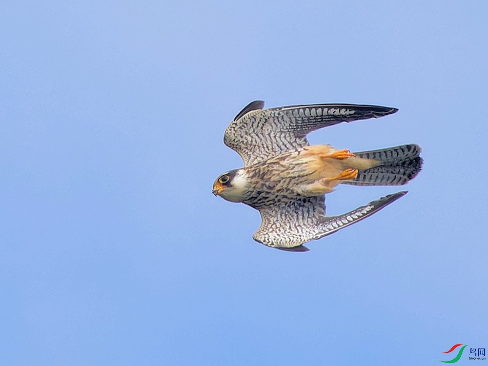 P9201570_DxO.jpg