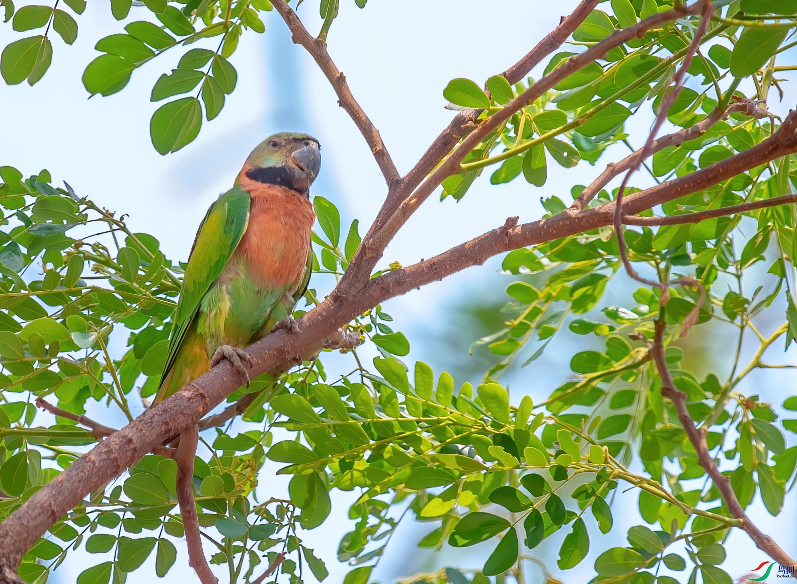DSC_9081-1.jpg
