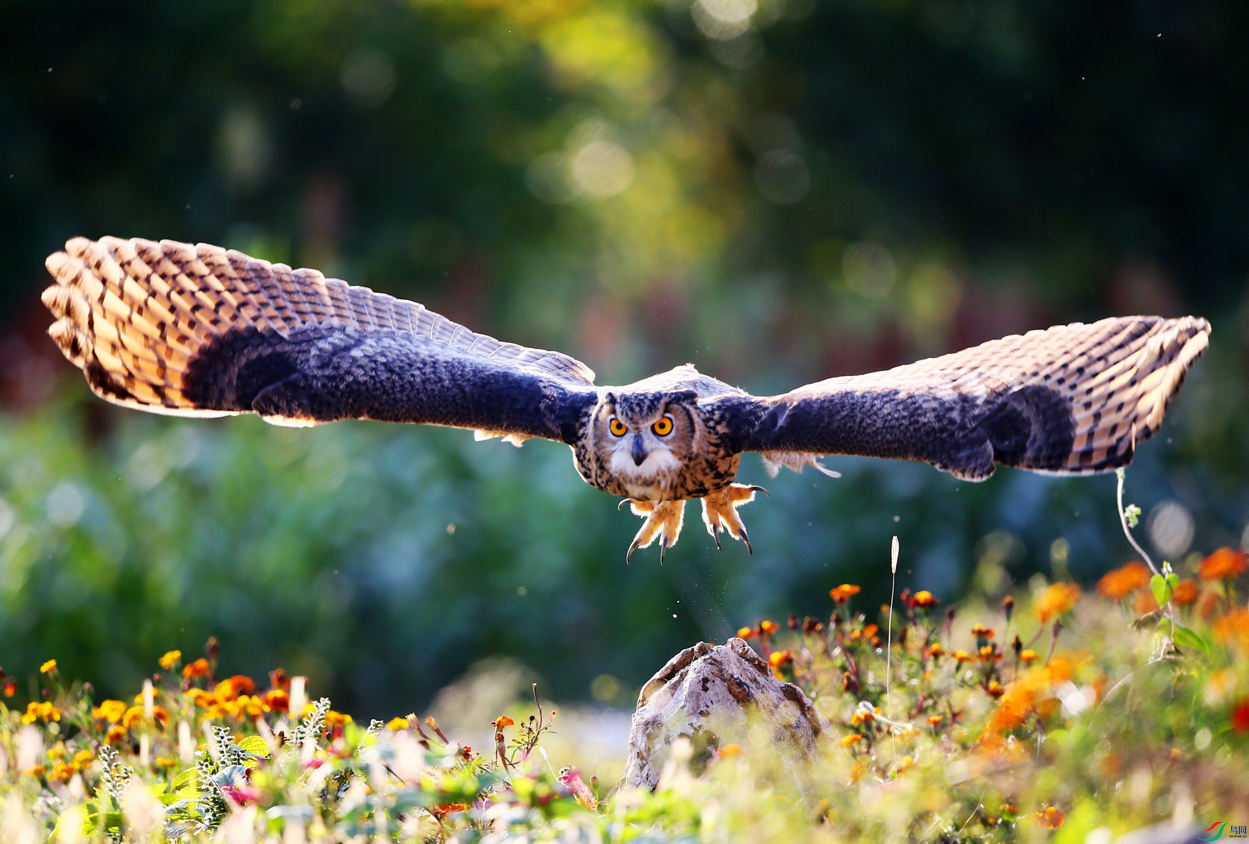 ���^  (80).JPG