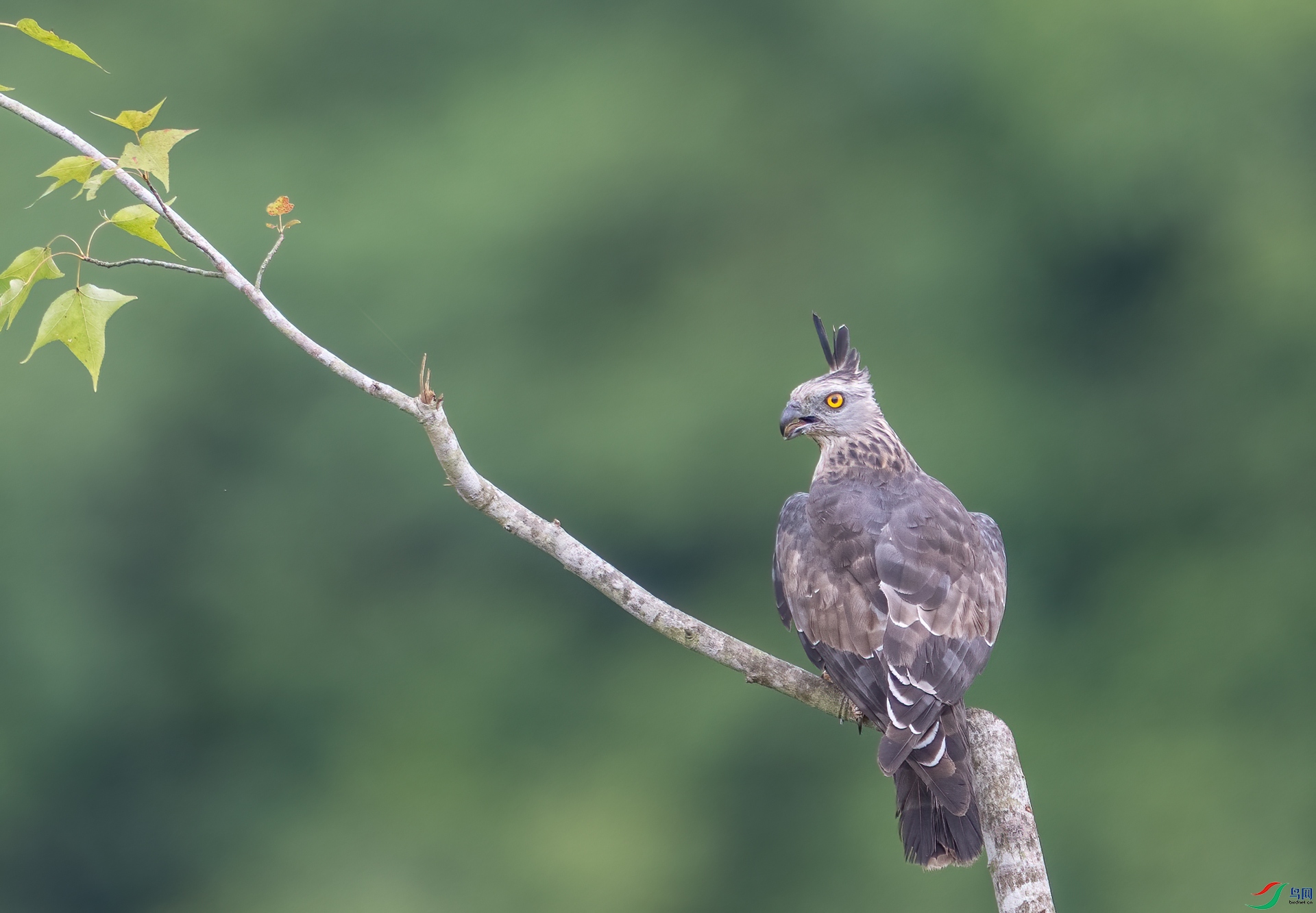 DSC_3853-1.jpg