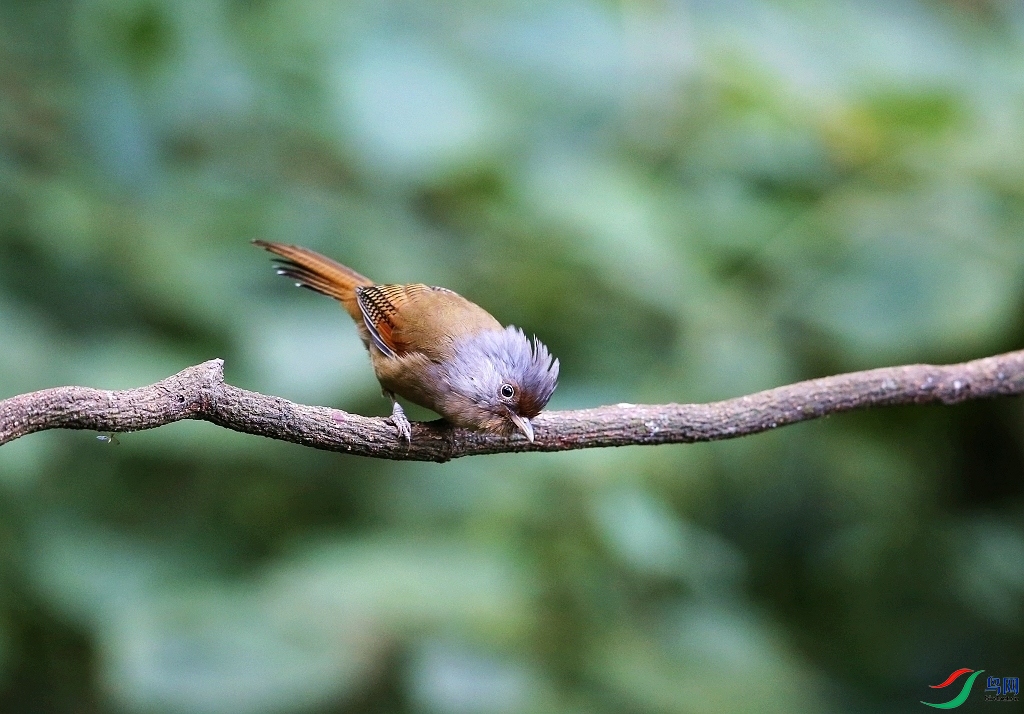 ���� IMGL1223.JPG