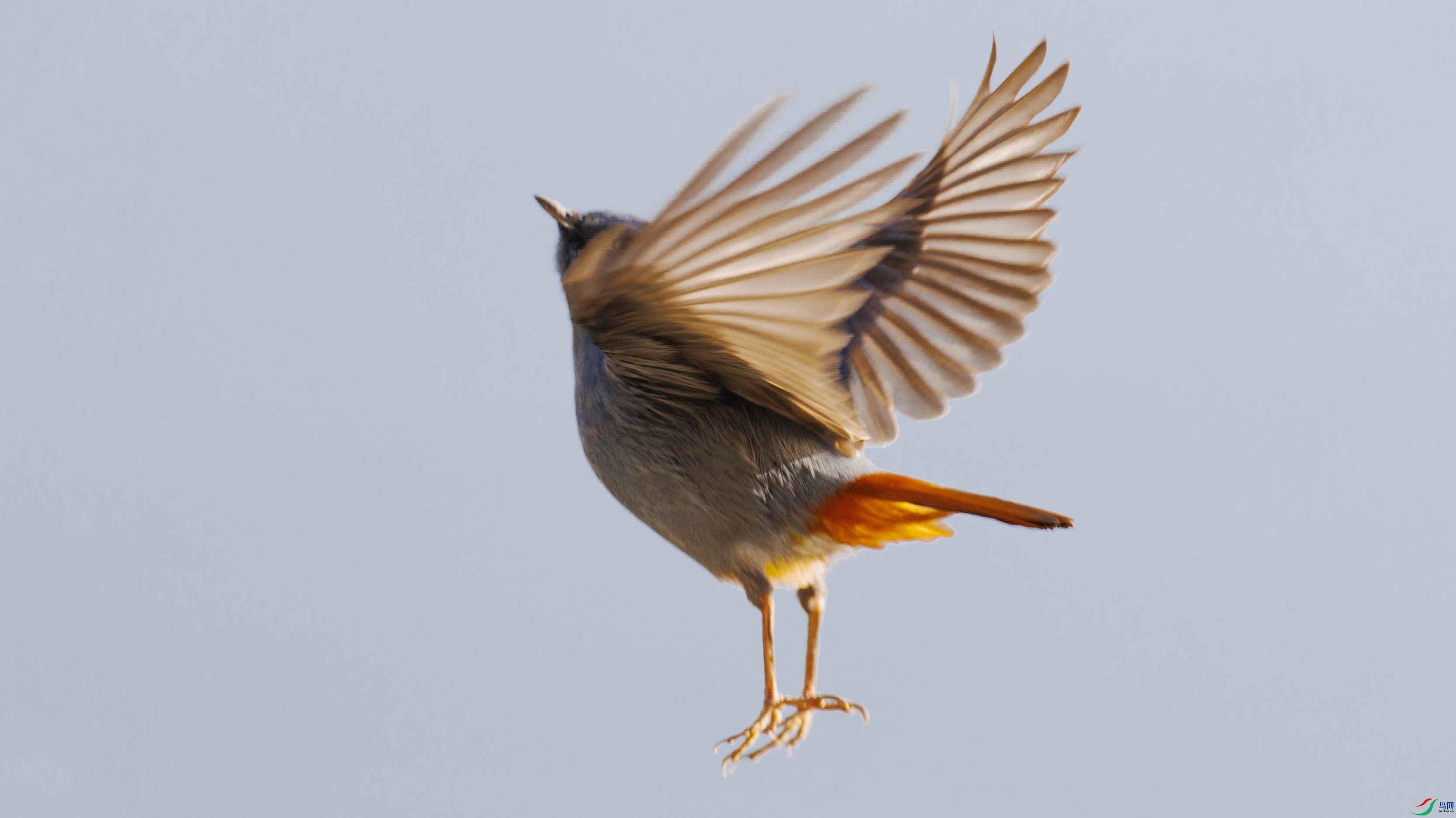 _X5A4050 ����333.jpg