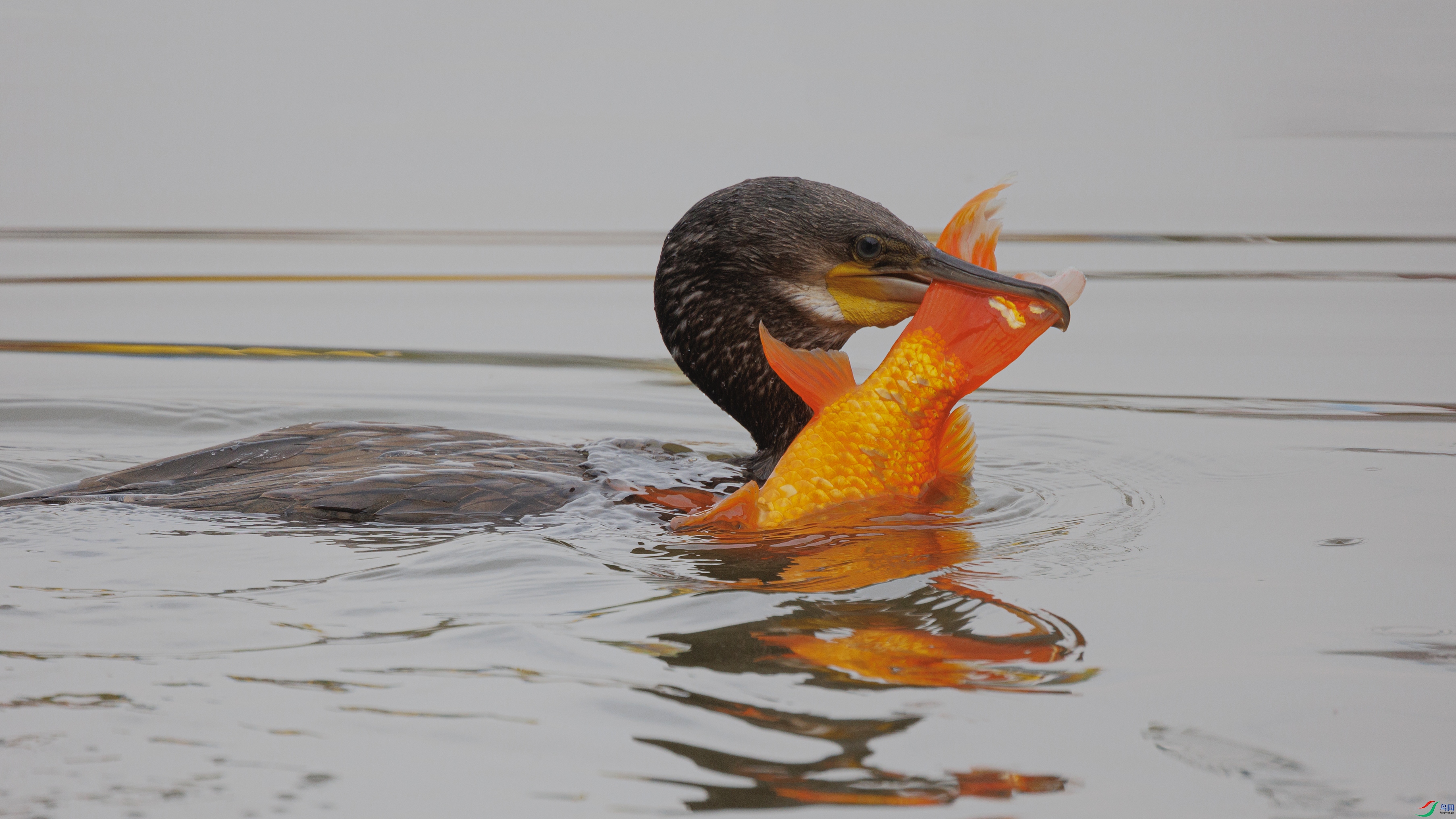 381A2349 ����444.jpg