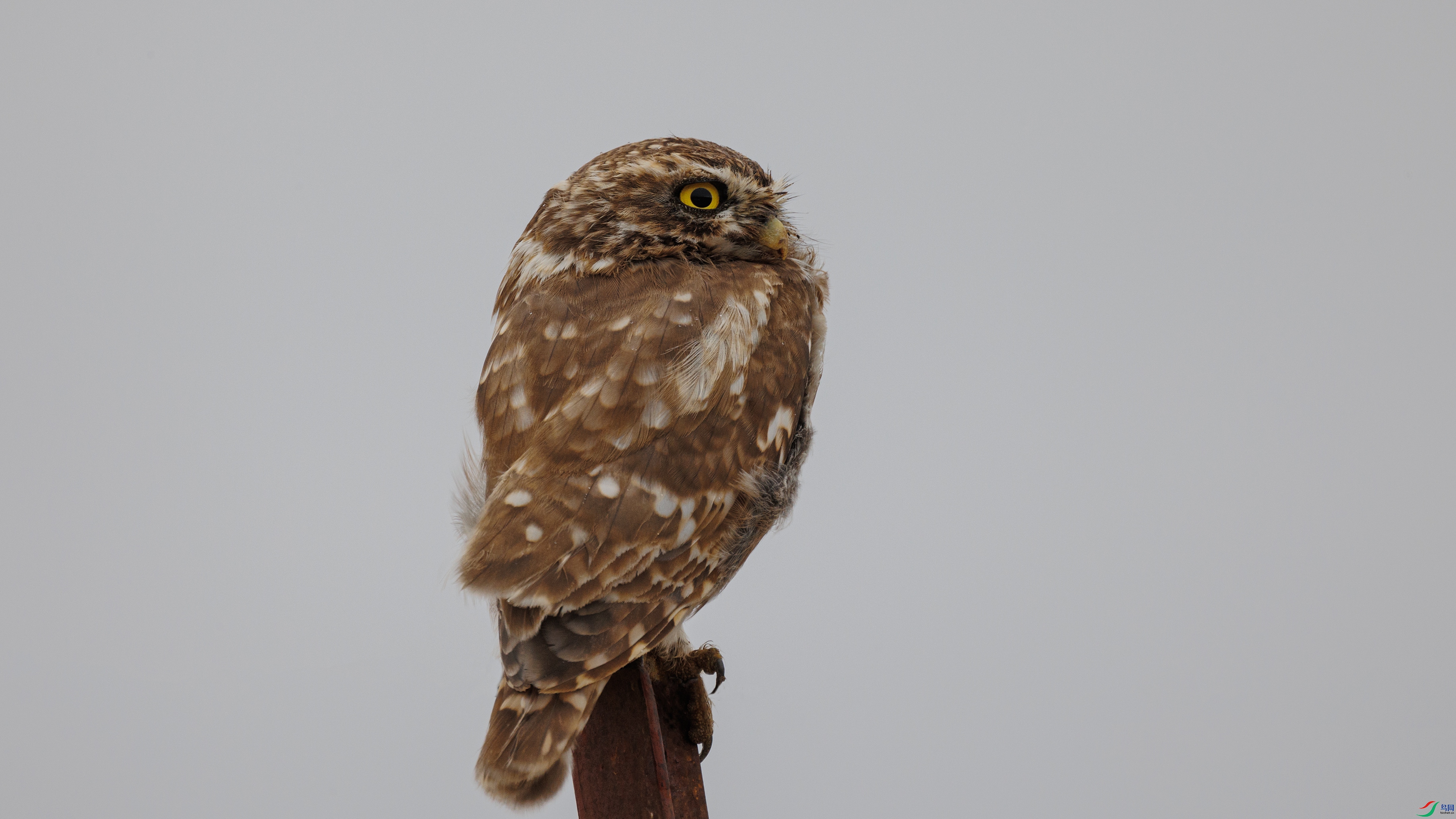 381A1907 ����333.jpg