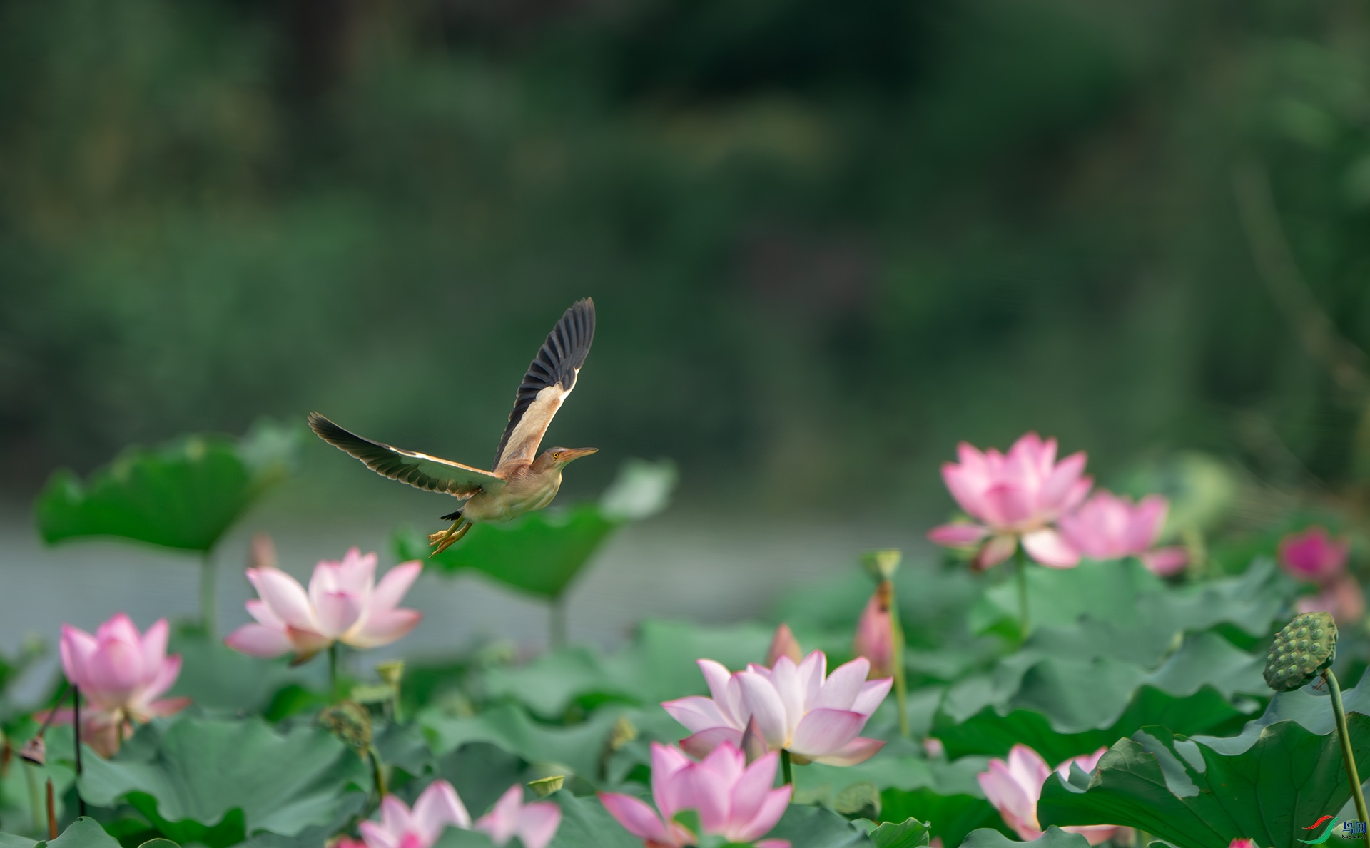 DSC07580-����ǿ-NR ���� 2.jpg