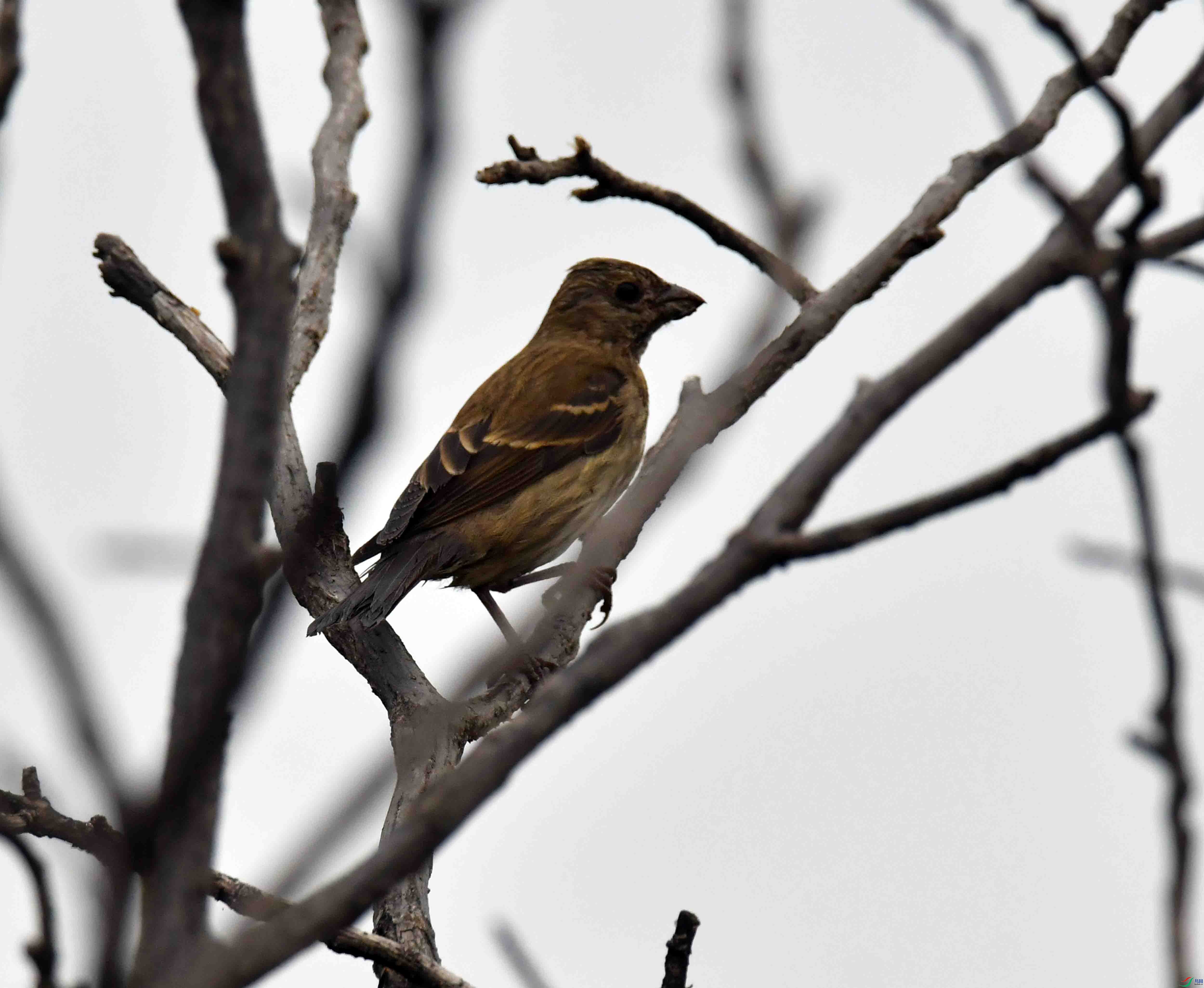 DSC_5512.JPG